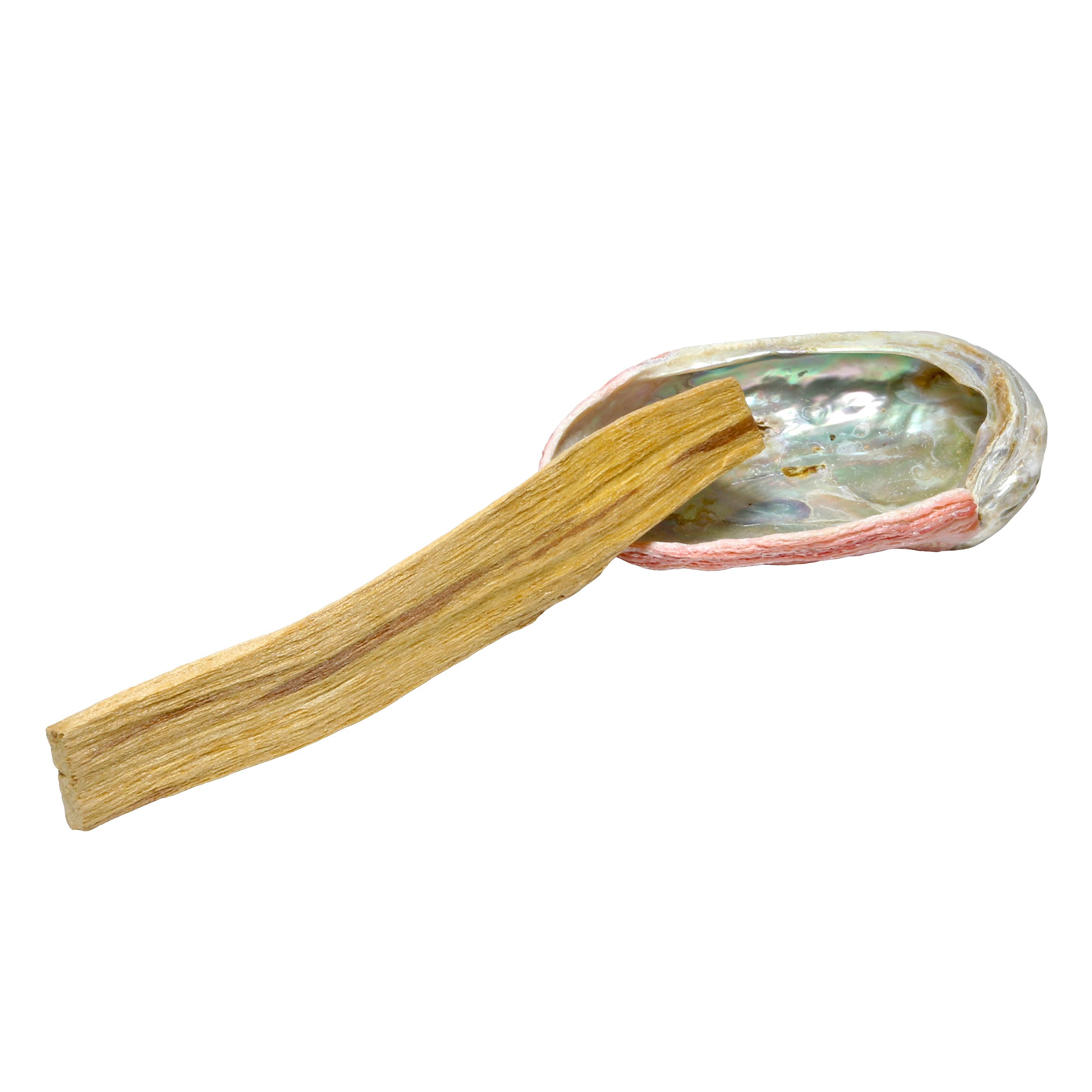 Teal Red Abalone Shell 2" with Palo Santo Stick