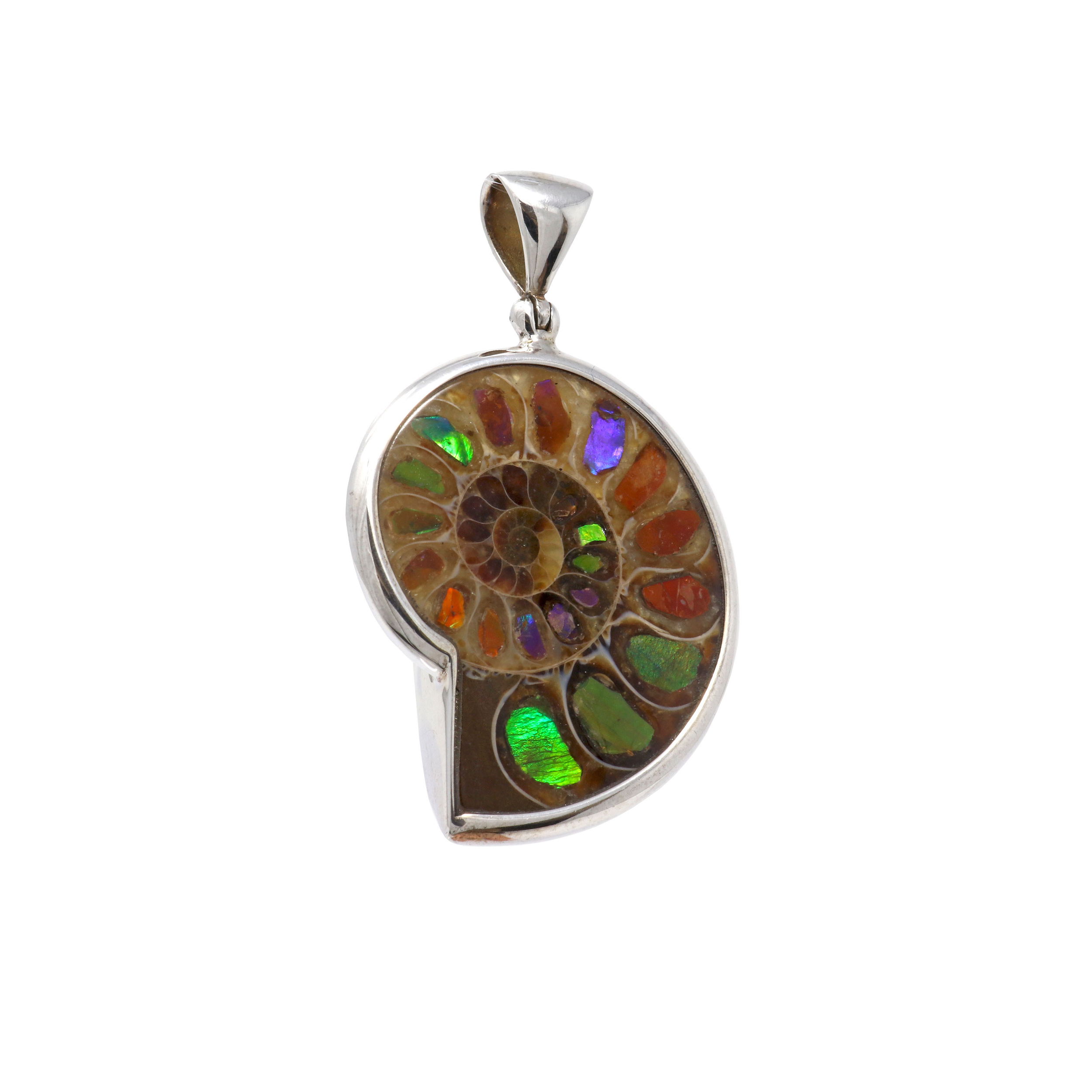 Ammonite Inlaid With Ammolite Pendant Bezel