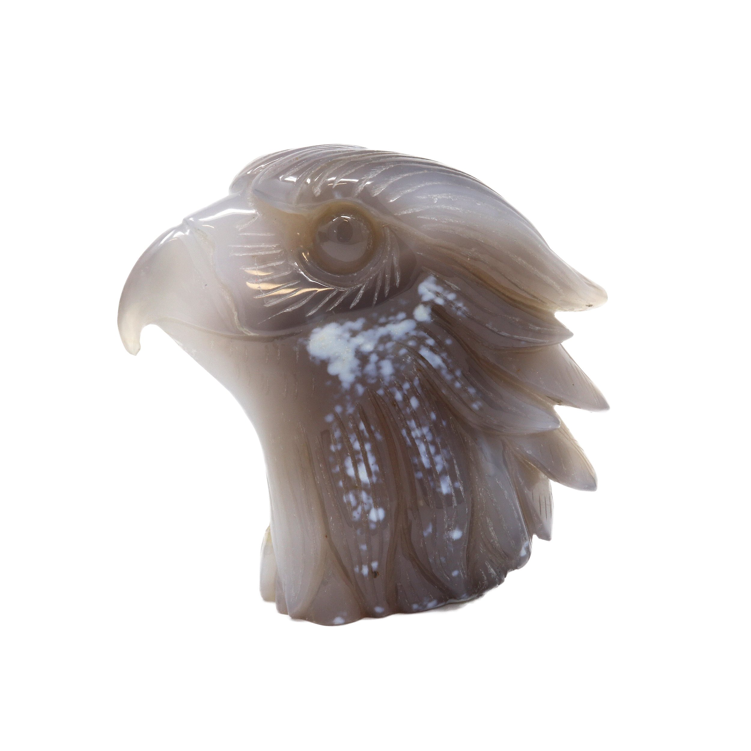 Agate Geode Eagle Head Carving With Druze