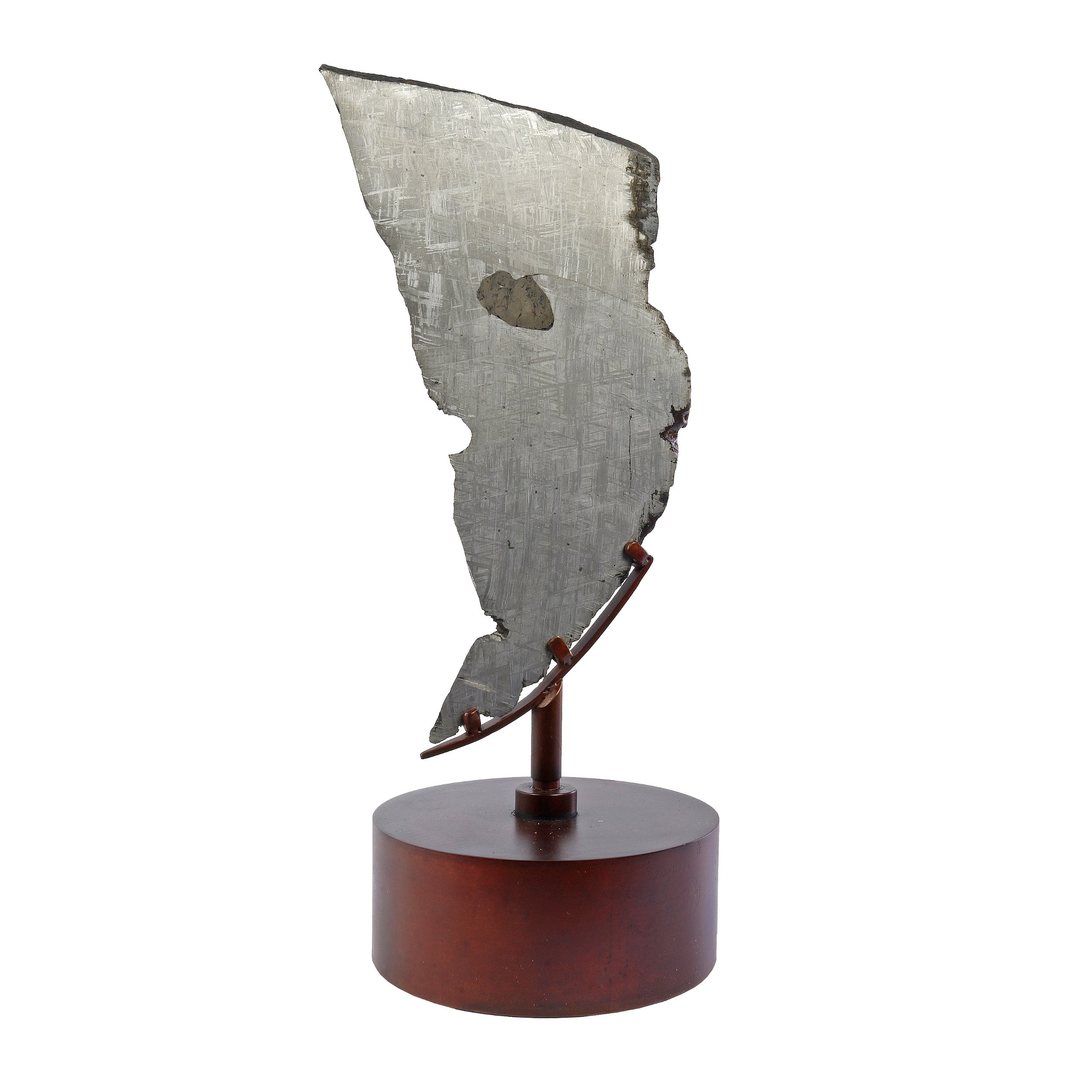 Muonionalusta Meteorite Slice With Troilite On Steel Spinner Stand