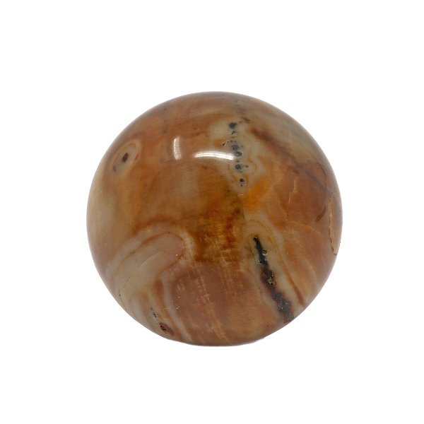 Closeup photo of Madagascar Petrified Wood Sphere 40mm