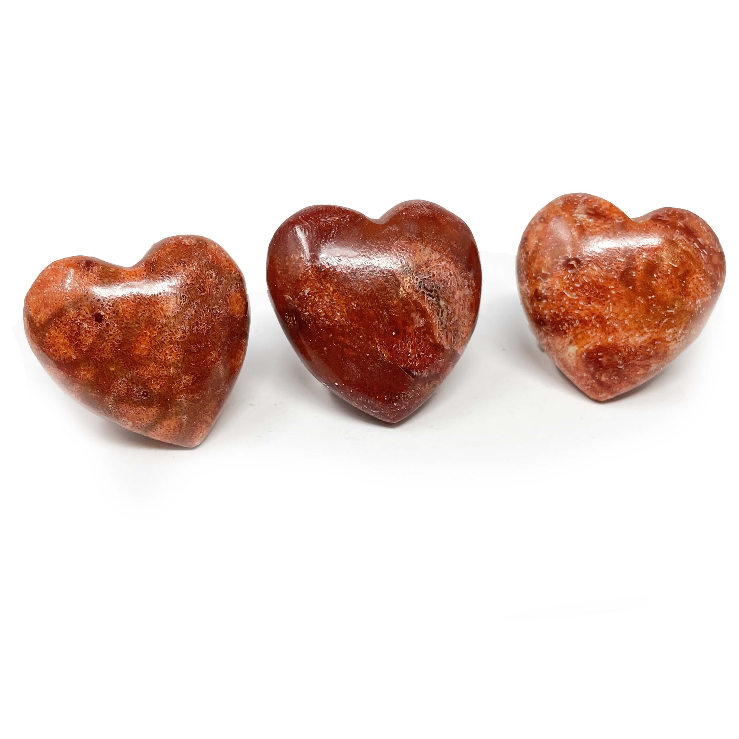 Red Sponge Coral Heart (Singles)