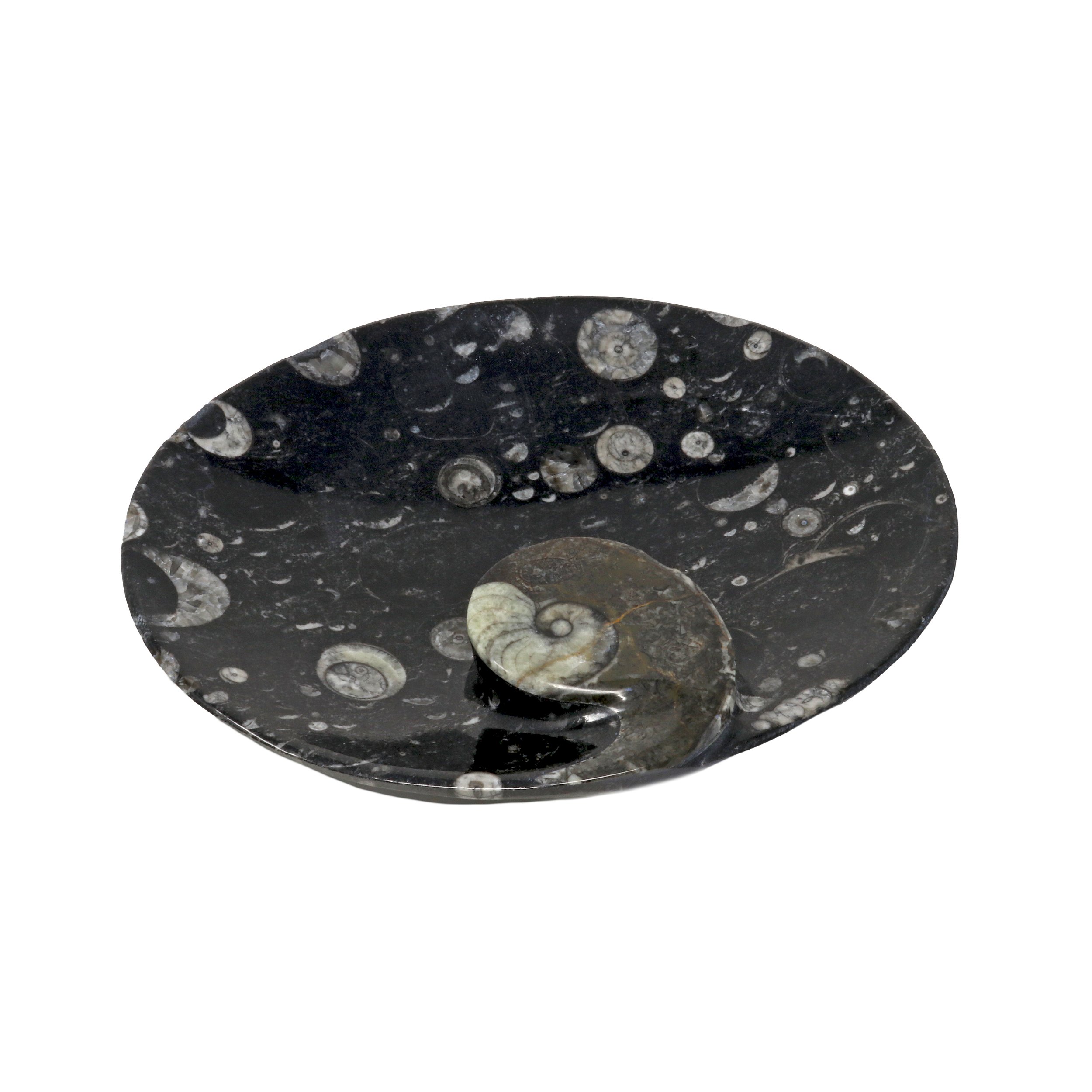 Orthoceras Fossil Seabed Oval Dish With Ammonite