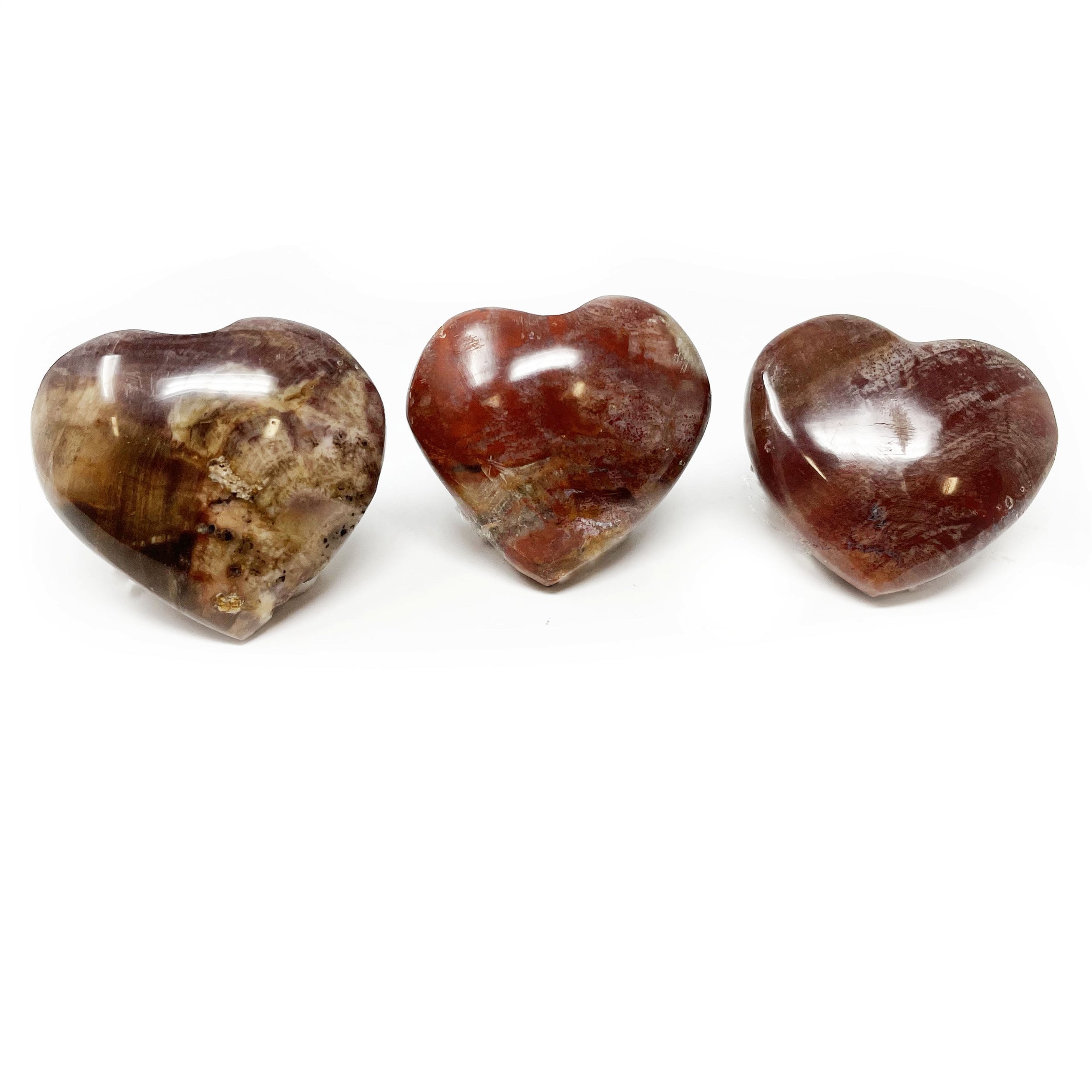 Madagascar Petrified Wood Heart - Extra Small (Single)