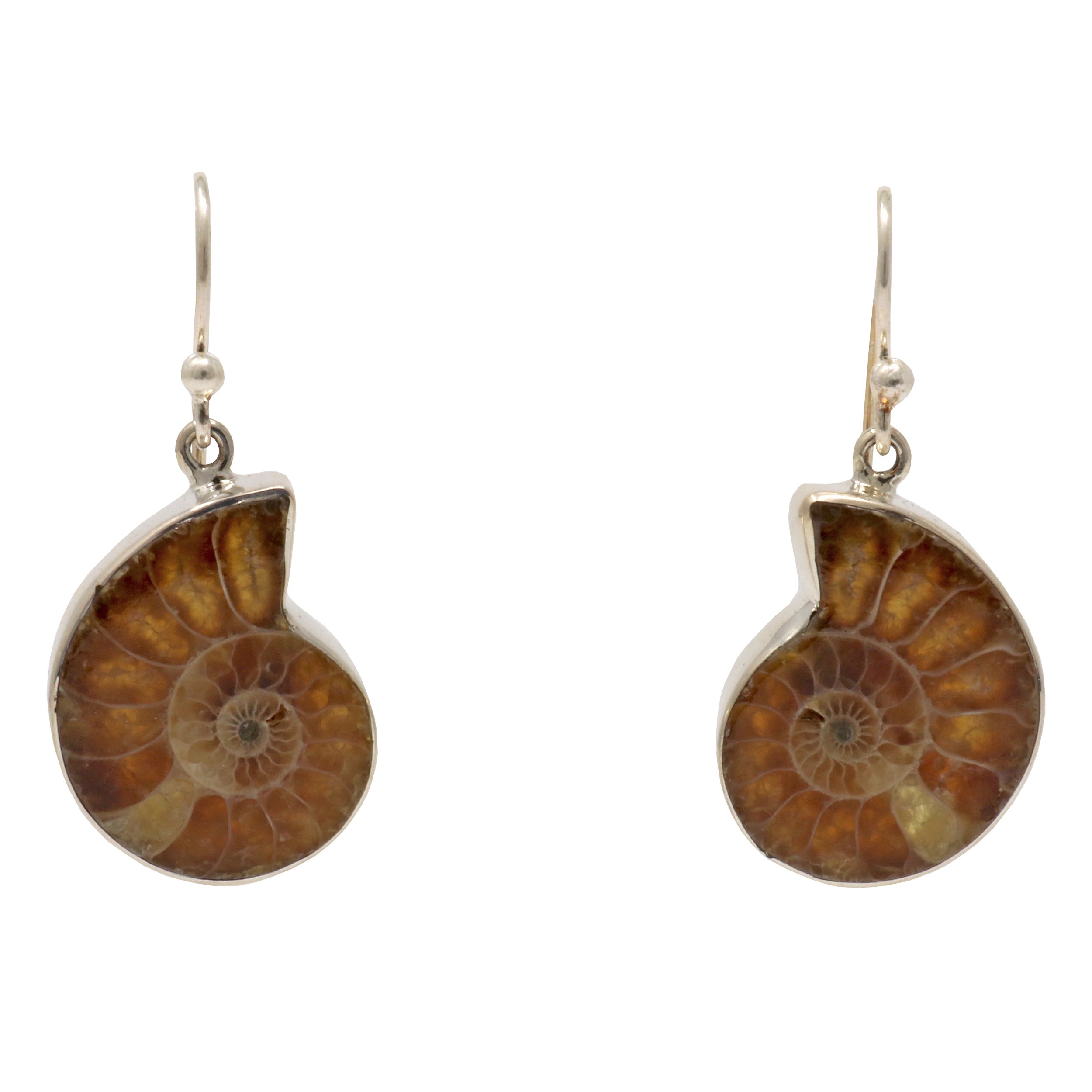 Ammonite Dangle Earrings - Simple Ammonite With Silver Bezel