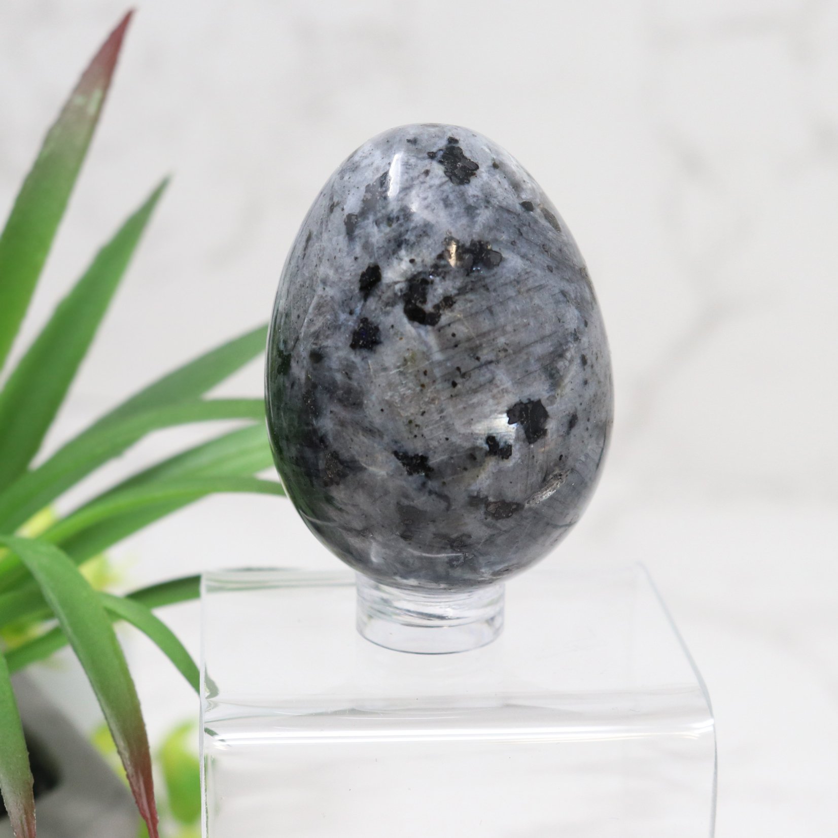 Larvikite Carved Egg