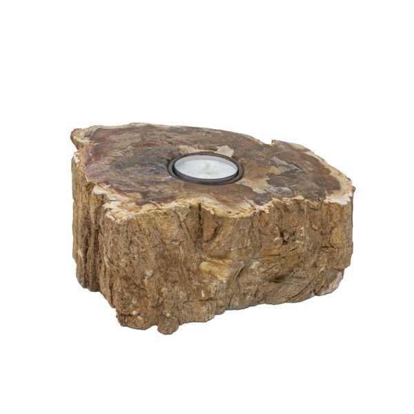 Closeup photo of Madagascar Petrified Wood Cross Section Log Candle Holder With Polished Top - Single Candle In The Center