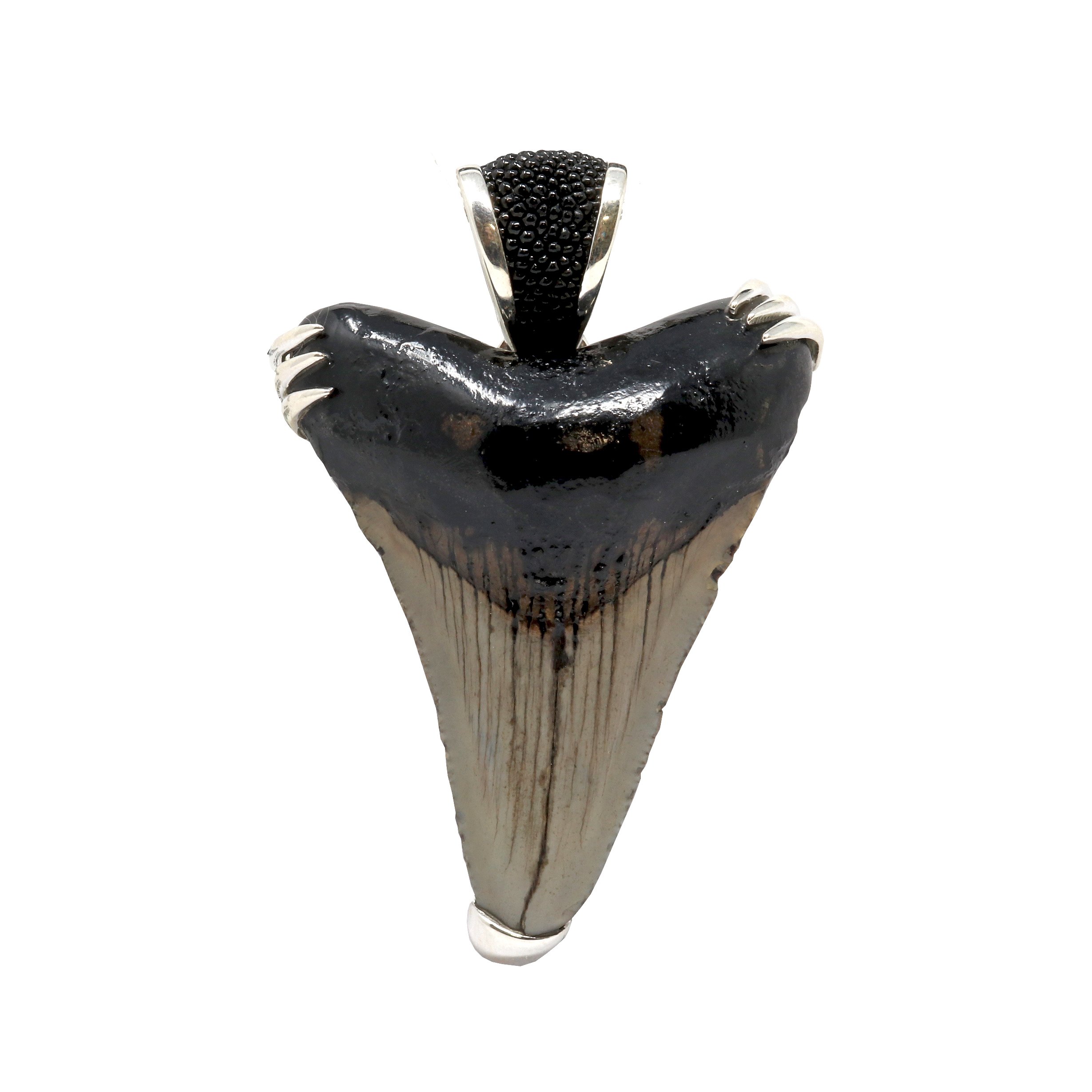 JSouthernStudio - Shark Tooth Necklace