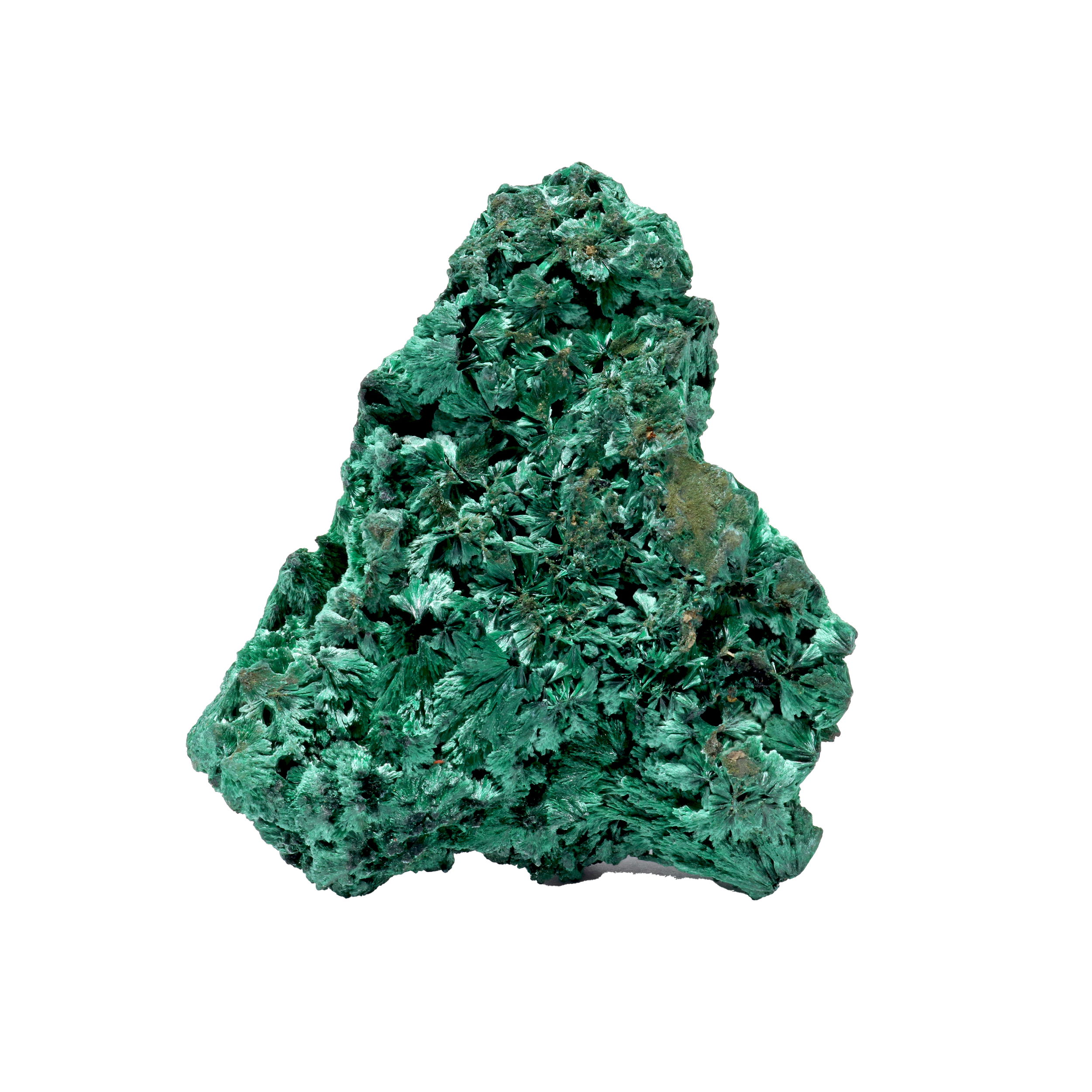 Chatoyant Fibrous Malachite Specimen - Cluster on Lucite Stand