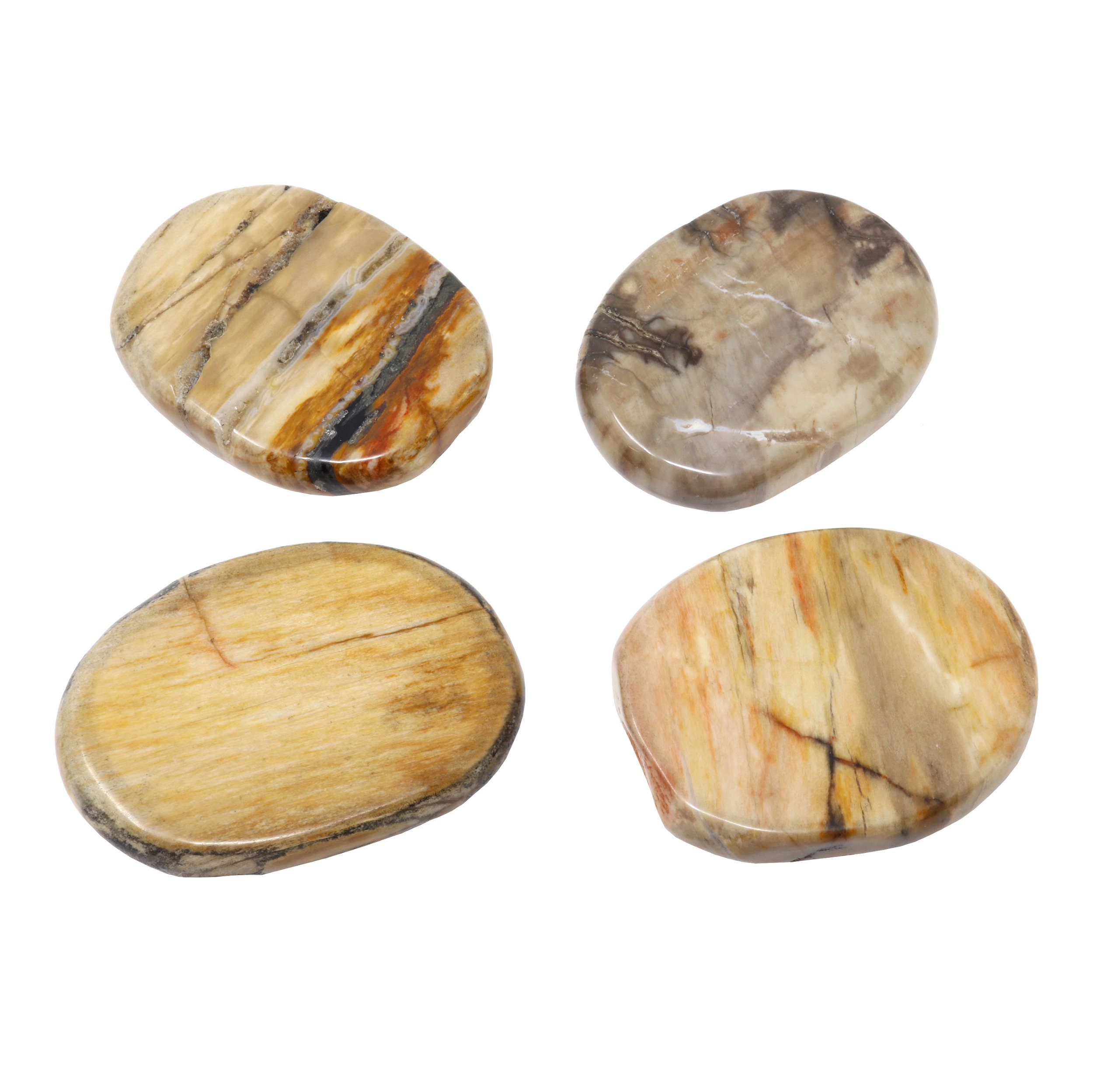 Madagascar Petrified Wood Flat Stone (Singles)