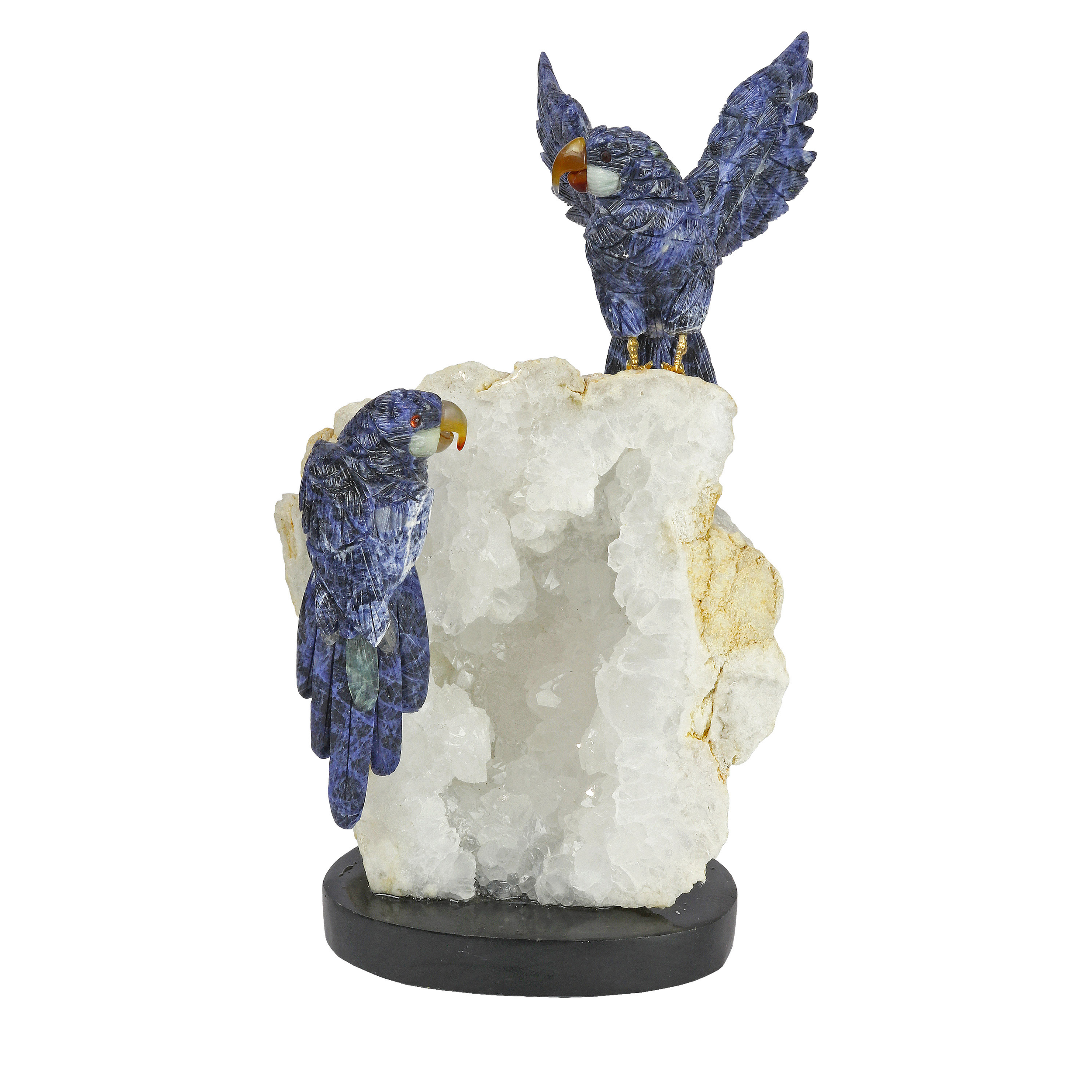 Sodalite Macaw Duo on Moroccan Geode Base