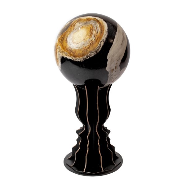 Closeup photo of Indonesian Petrified Wood Sphere On A Custom Profile Stand