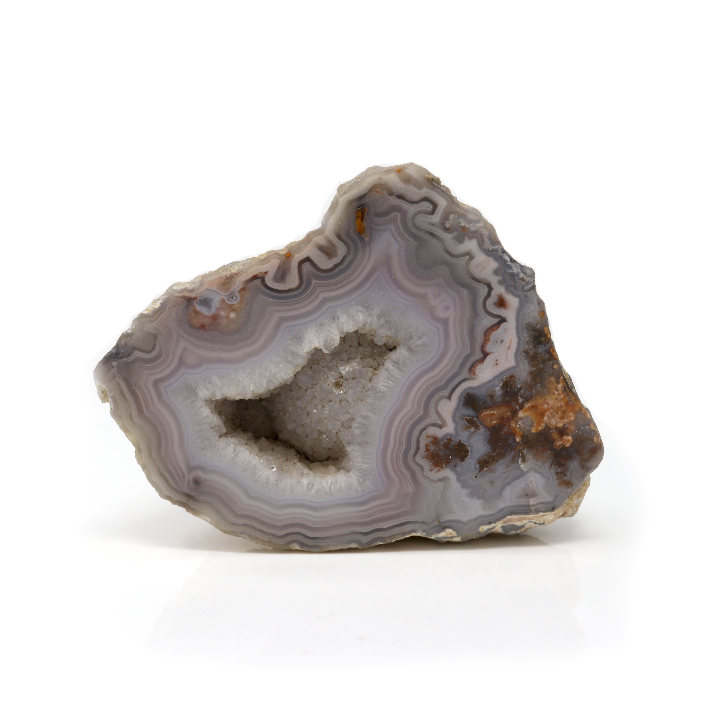 Laguna Lace Agate Geode End Cut - Lavender And White Banding Around A Druze Pocket