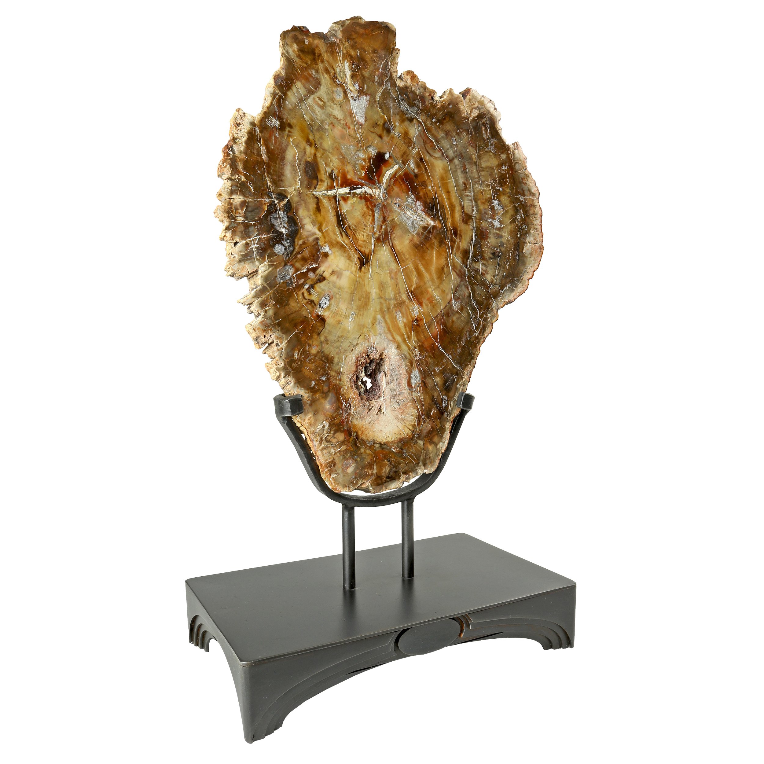 Madagascar Petrified Wood Slice In Custom Stand - Reverse Pear Shape With Chestnut Colored Druze Pocket In Lower Center