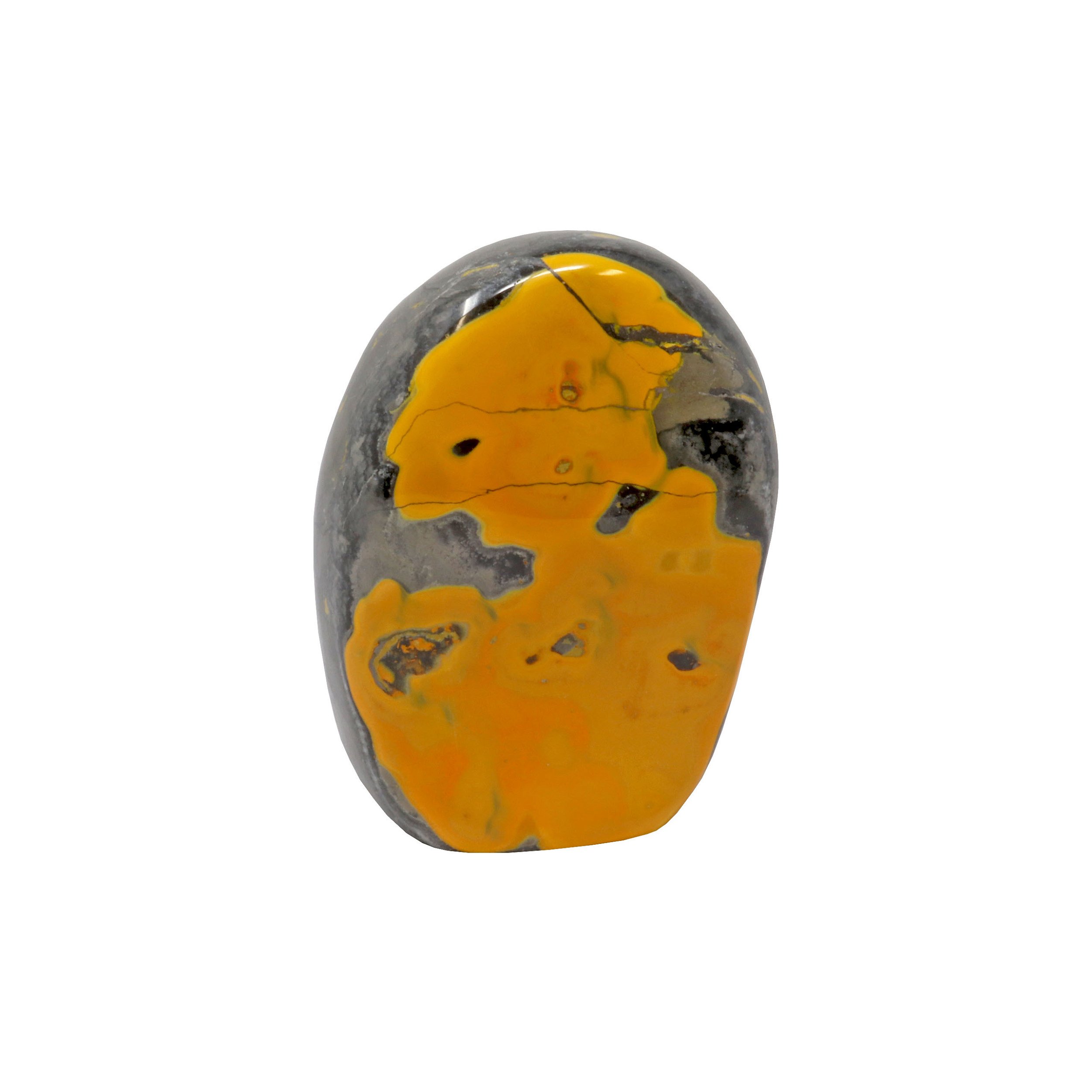 Bumblebee Jasper Freeform Polished Cut Base - Gray Outline With Yellow "Figure Eight" Shape In Center