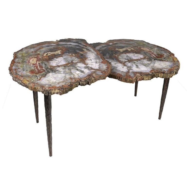 Arizona Petrified Wood Duo Slice Table With Forged Base