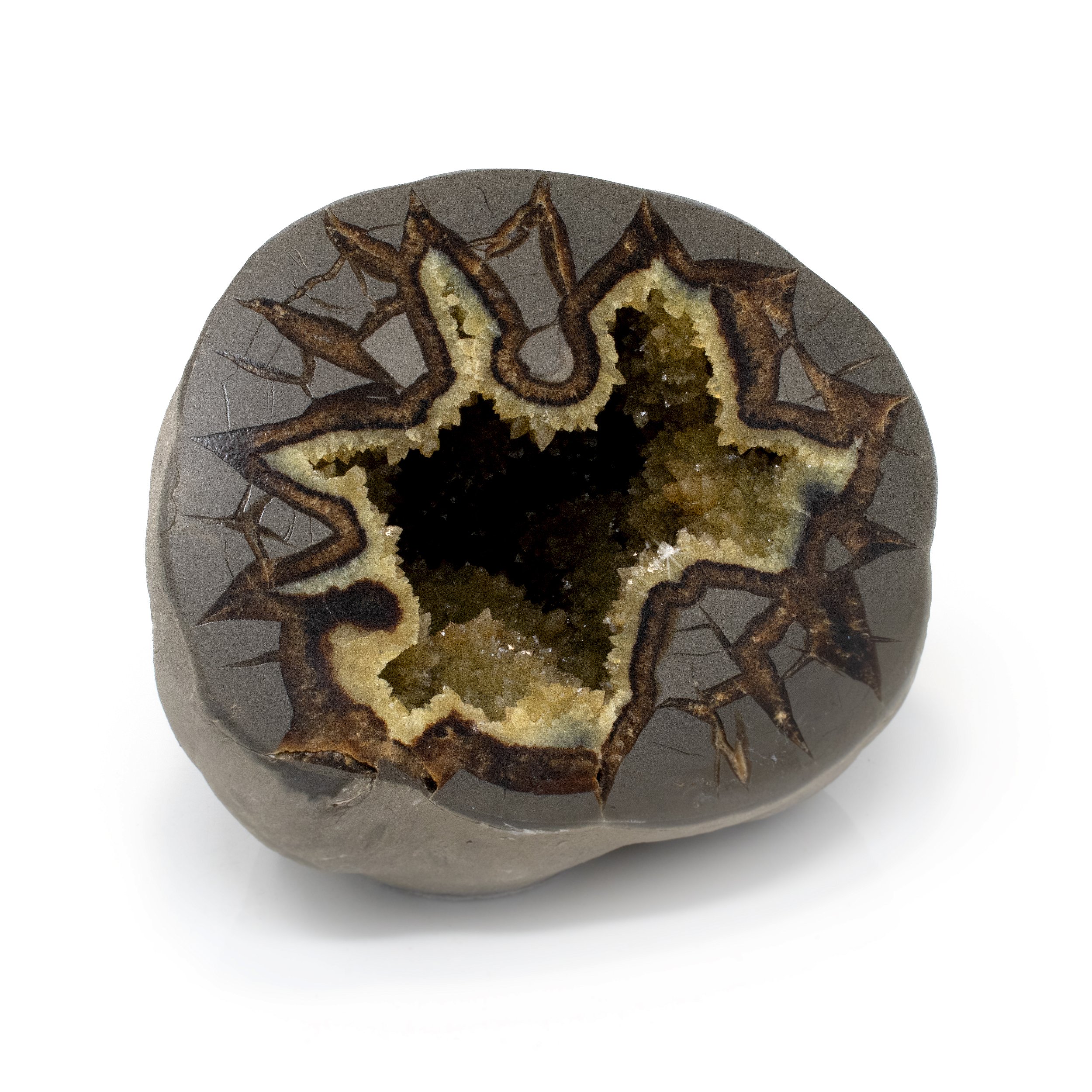 Septarian Geode With Druze Pocket & Cut Base From Utah - Bubbled Crystal Cluster Opaque Druze With Mustard Yellow Coloring & Flat Face