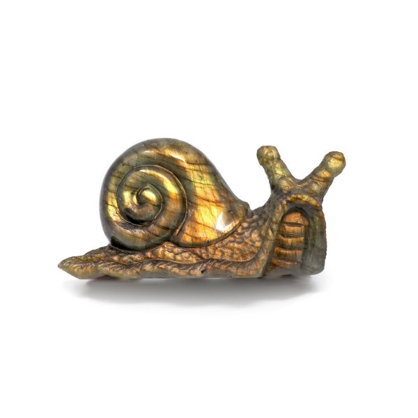 Closeup photo of Labradorite Carving - Snail With Golden Flash