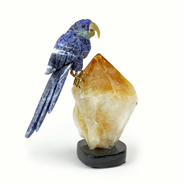 Closeup photo of Sodalite Macaw On Citrine Point With Black Base
