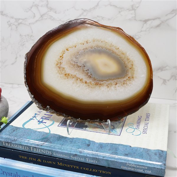 Closeup photo of Agate Slice On Stand with Coffee Agate & Druze Center