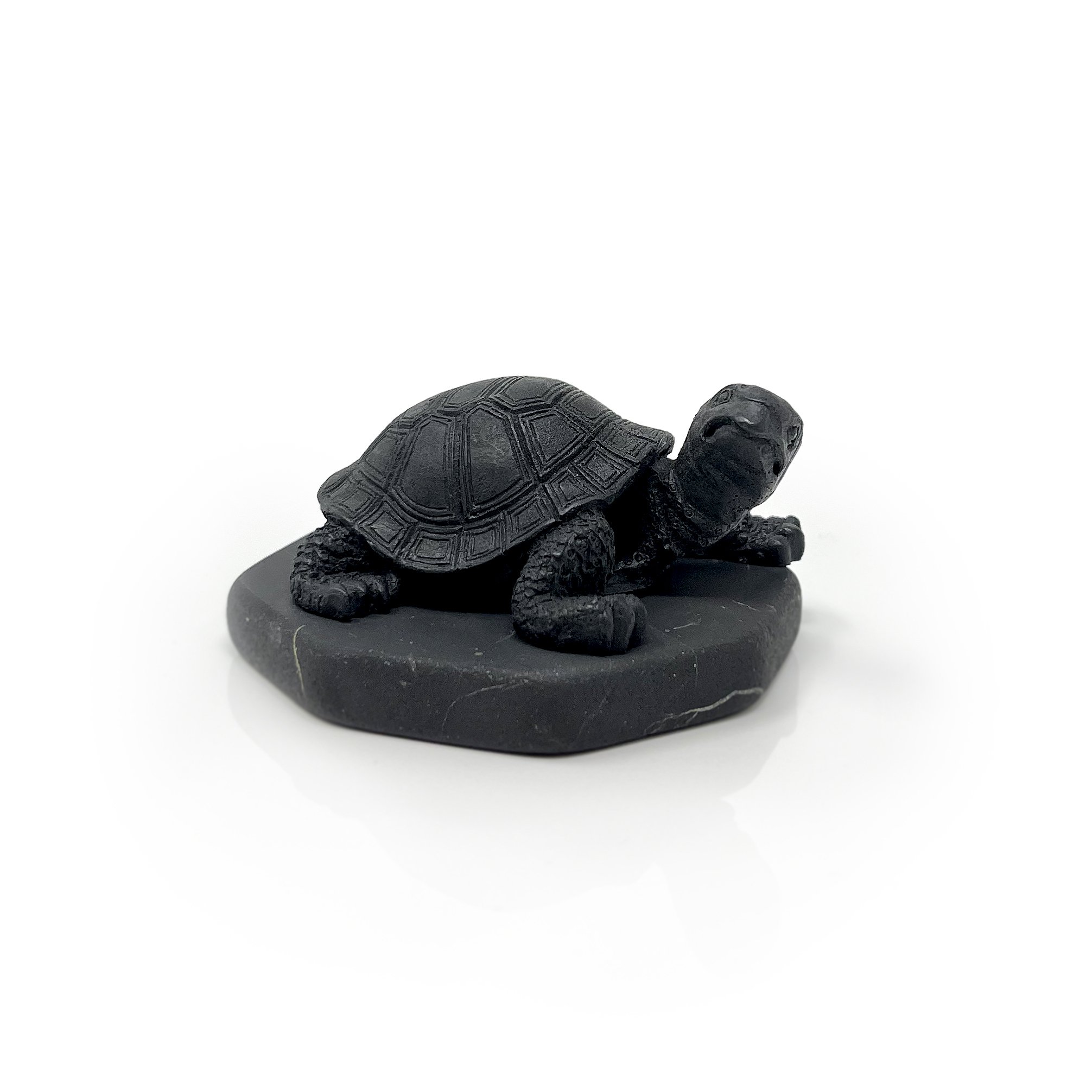 Shungite Turtle Figurine - Looking Right On Shungite Hexagonal Base
