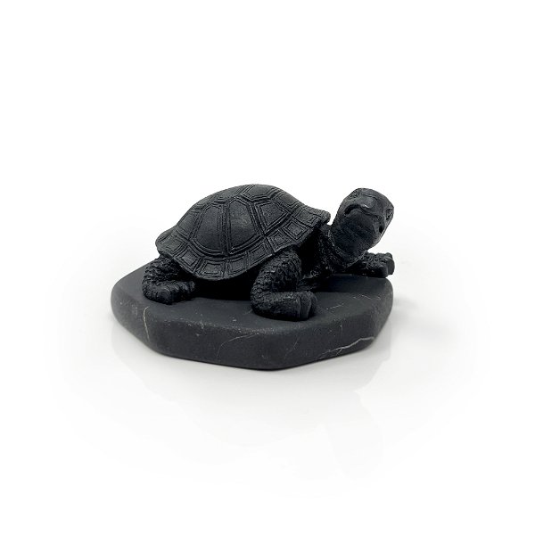 Closeup photo of Shungite Turtle Figurine - Looking Right On Shungite Hexagonal Base
