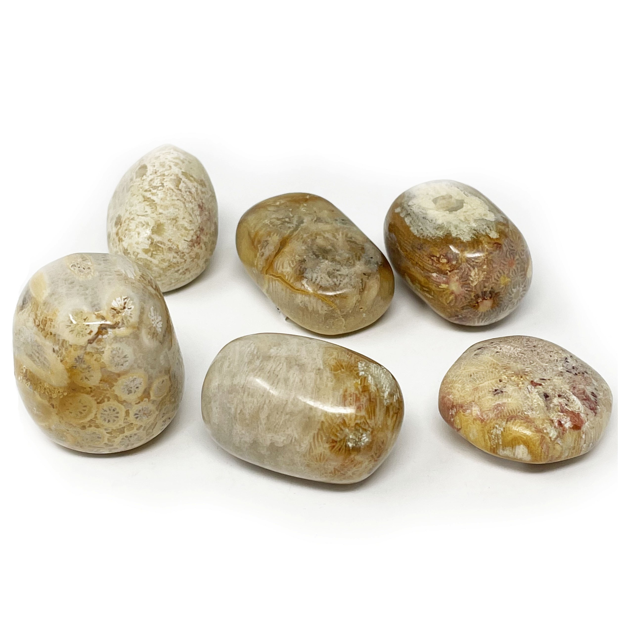 Tumbled Fossilized Coral From Indonesia (Singles)