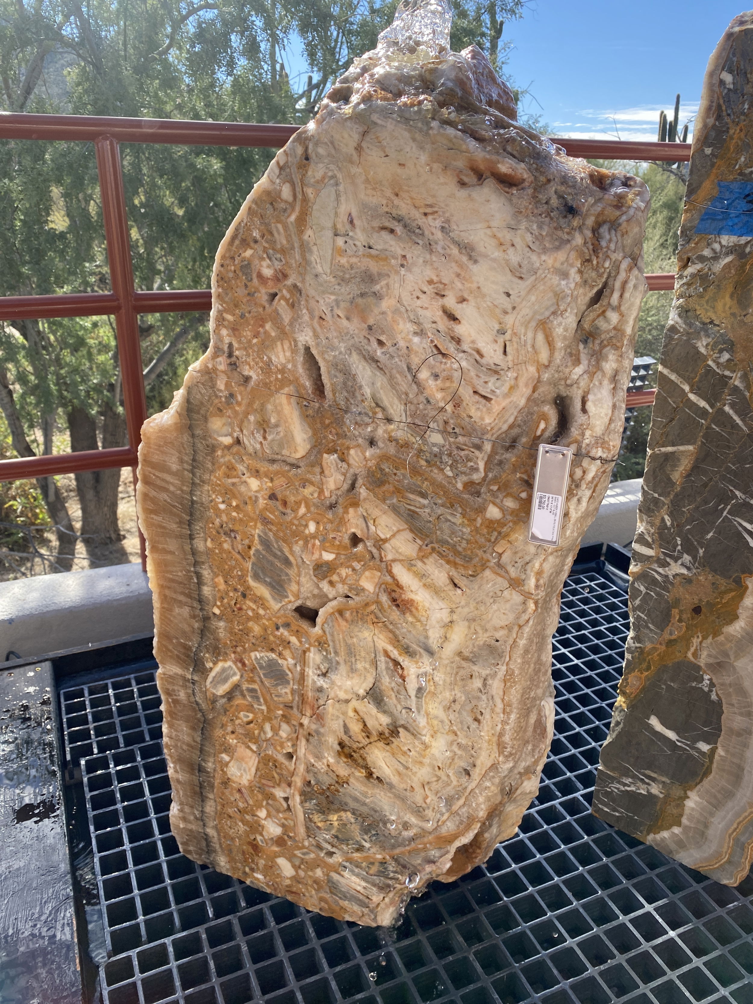 The Cafe Amber Fossil Onyx Fountain brings tranquility and enhances the aesthetics of any yard, garden, or patio. Crafted from a stunning cut slab, it exudes natural beauty and creates a soothing ambiance, making it an ideal addition to any outdoor space. Let Rare Earth Gallery’s white-glove service make your fountain dreams come true—simply choose your fountain, tell us where it goes, and we’ll handle the rest, from delivery to installation. IMPORTANT: the purchase price listed is for the FOUNTAIN ONLY and DOES NOT INCLUDE the cost of a basin, pump, parts or installation. Before purchasing a fountain online, we STRONGLY recommend you call us at (480) 575-4360 for a FREE consultation to discuss these additional costs and schedule a pre-site inspection. Also, free shipping does NOT apply to fountains, please call for a quote. Cafe Amber Fossil Onyx Fountain - Cut Slab