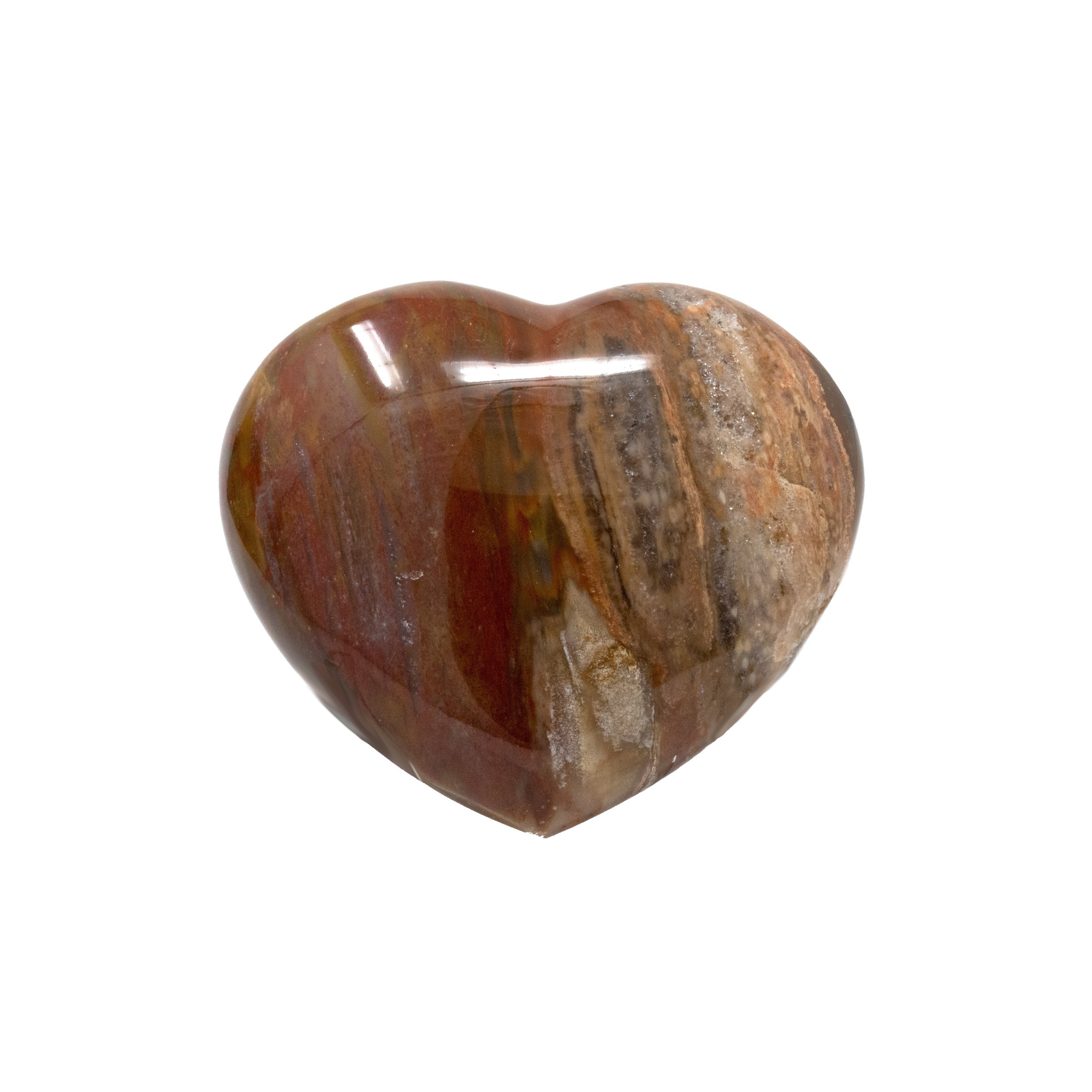 Madagascar Petrified Wood Heart