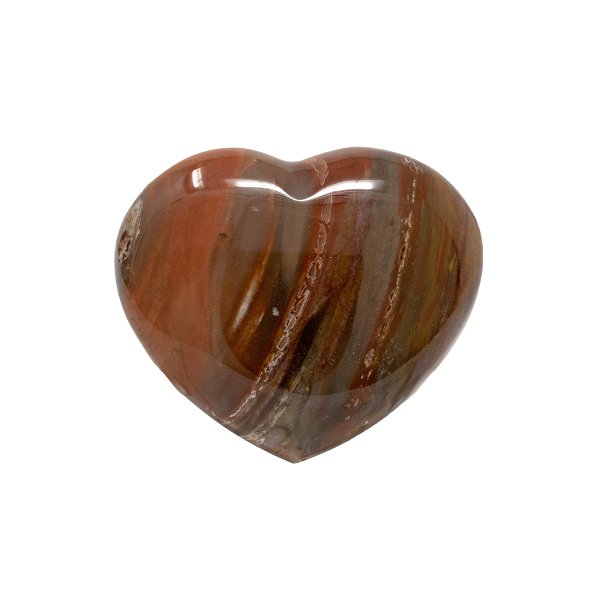 Closeup photo of Madagascar Petrified Wood Heart