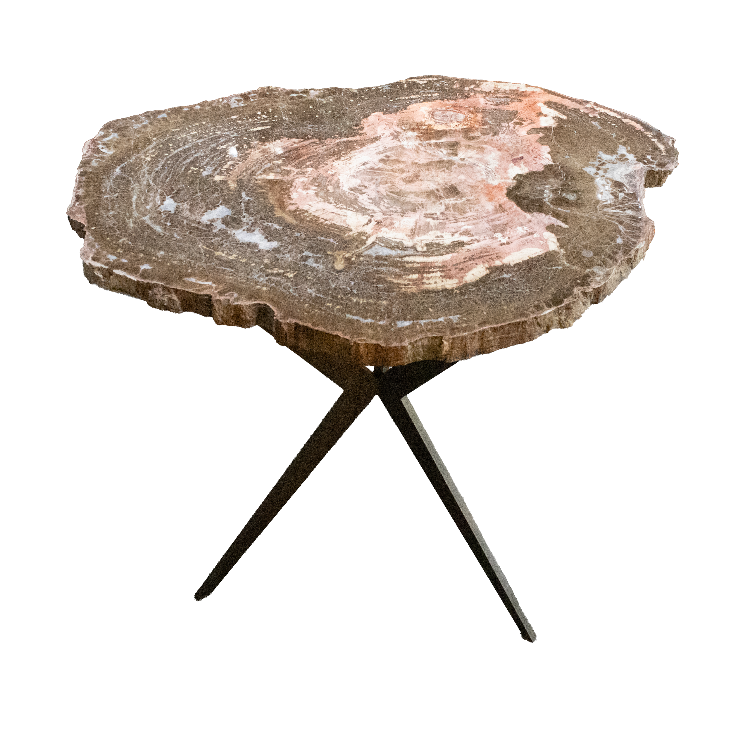 Experience the rare beauty of this Arizona Petrified Wood Slice, featuring fossilized Schilderia wood in elegant shades of pink and brown. Millions of years old, this polished specimen showcases rich, earthy tones and soft blush hues, capturing the intricate grain and texture of the ancient tree it once was.Expertly polished on one side to reveal its full detail and color, this slice is ideal for display on a stand or as a striking decorative piece. Sourced responsibly from Arizona, it offers a genuine connection to Earth’s deep past—a unique treasure for collectors, design enthusiasts, or anyone drawn to nature’s timeless artistry. Arizona Petrified Wood Slice - Rare Pink & Browns Schilderia Wood