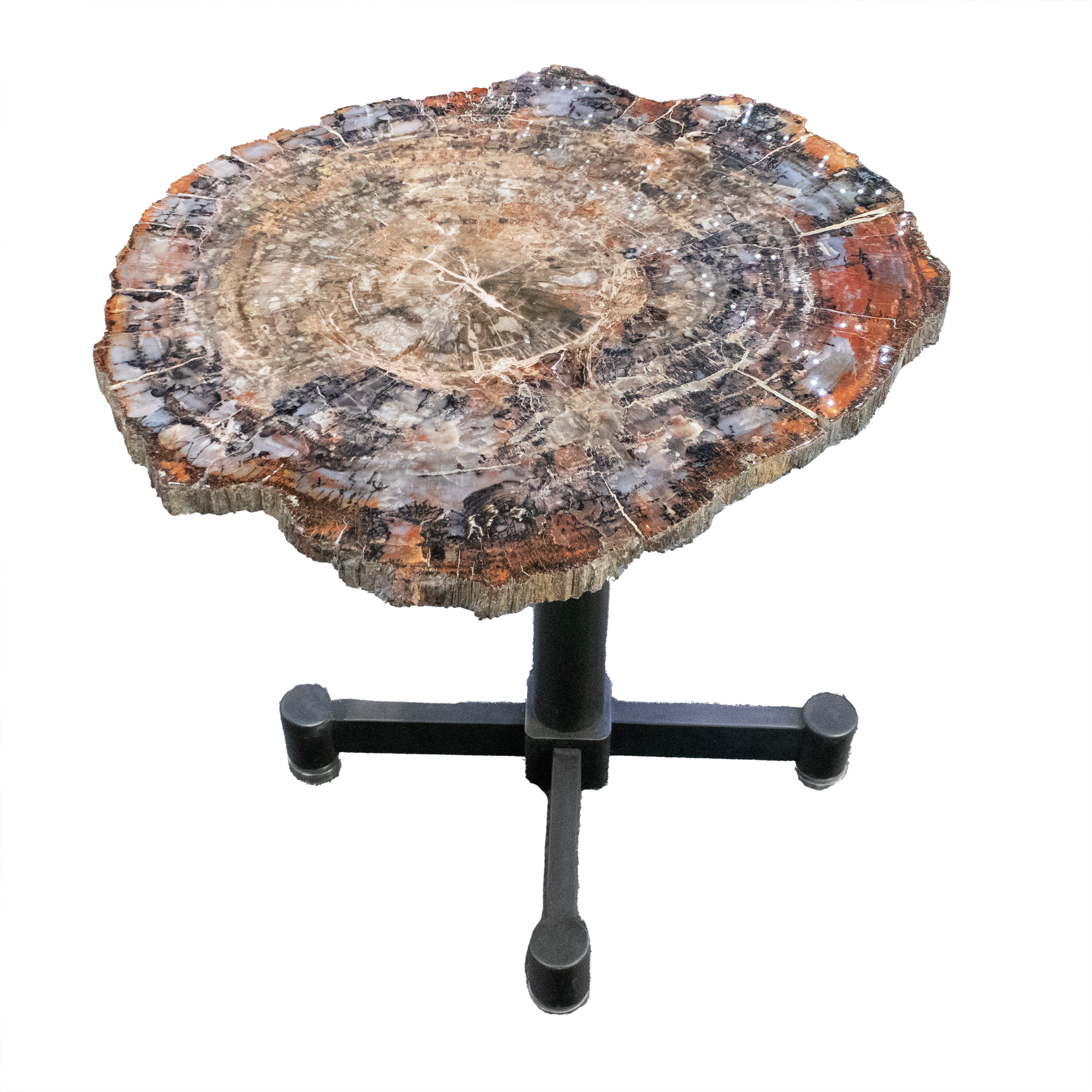 Showcasing a striking Brecciated Browns & White pattern, this Arizona Petrified Wood Slice captures the mosaic-like beauty of nature preserved over millions of years. Mined from Arizona’s iconic petrified forests, the earthy browns and crisp whites create a bold visual contrast that highlights the intricate natural fracture patterns.Polished on one side to enhance its rich detail and luster, this one-of-a-kind specimen is perfect for display, study, or decor. Whether you're a collector, educator, or design enthusiast, this slice offers a rare glimpse into ancient geological transformation and adds a sophisticated touch of Earth’s history to any space. Arizona Petrified Wood Slice - Brecciated Browns & White