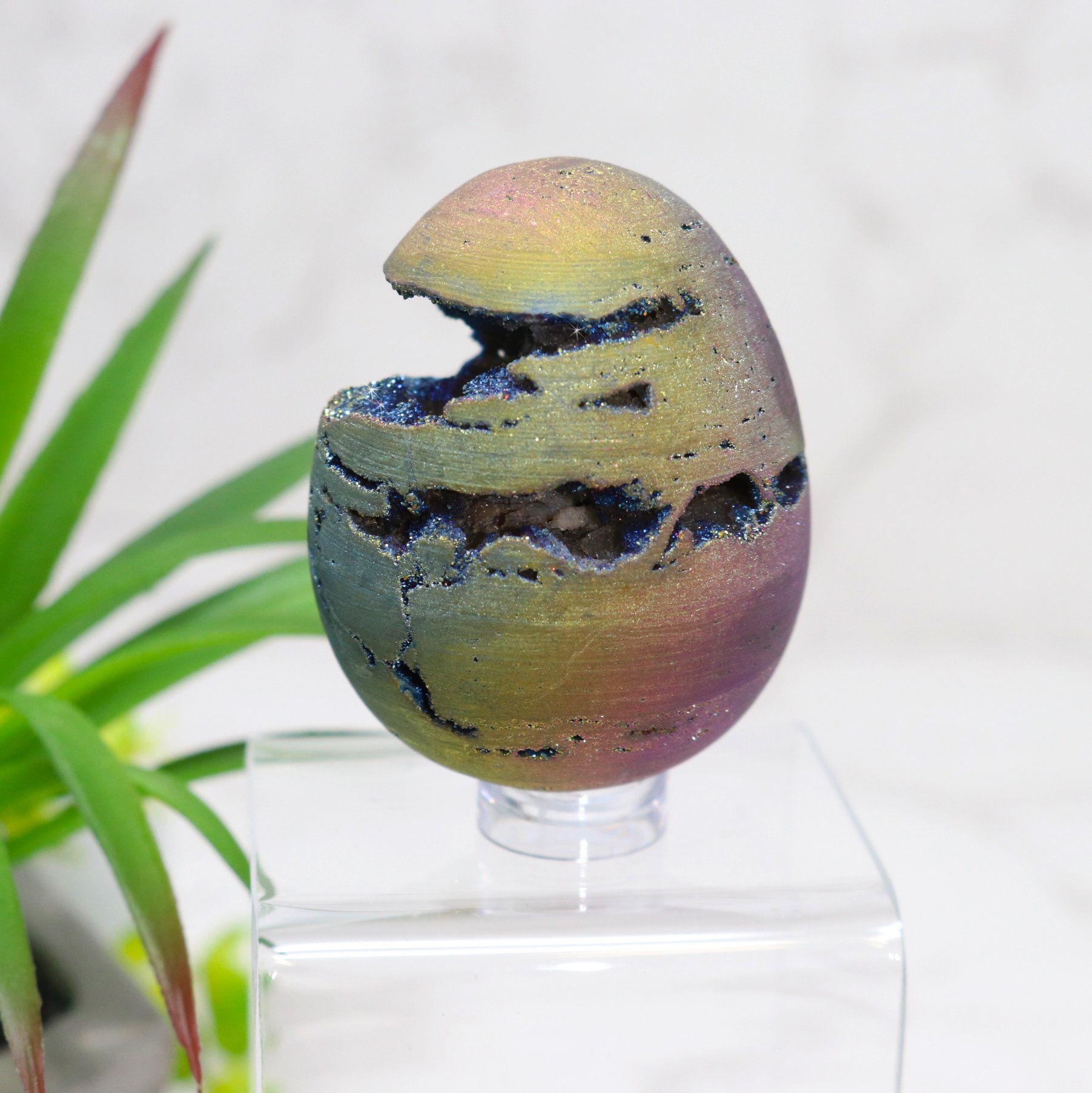 Rainbow Titanium Druze Carved Egg