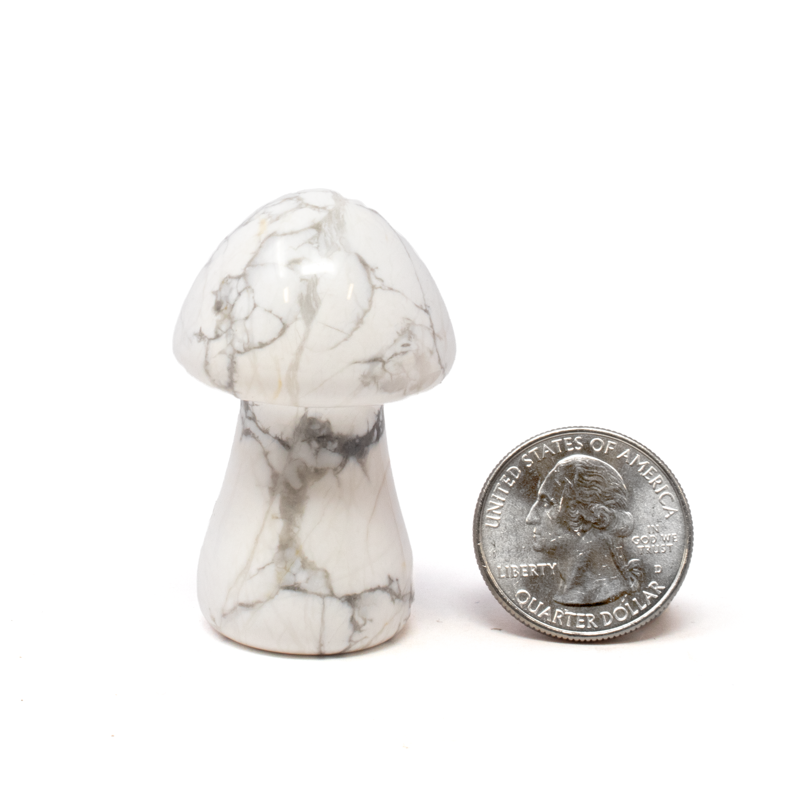 Transform any space into a sanctuary of tranquility and aesthetic charm with our exquisite Howlite Carved Mushroom Figurine. Crafted from the serene and calming mineral, Howlite, this delicate carving transcends decorative beauty, making it an ideal addition for collectors, crystal enthusiasts, or anyone seeking to enhance their environment with natural allure.Expertly hand-carved into the whimsical shape of a mushroom, each piece highlights the unique veining and creamy white hues characteristic of Howlite, adding a touch of nature-inspired sophistication to your decor. Known for its calming properties, Howlite is believed to reduce stress, promote patience, and encourage a restful mind—making this figurine a perfect companion for meditation spaces, bedside tables, or your favorite relaxation corner. Howlite Carved Mushroom