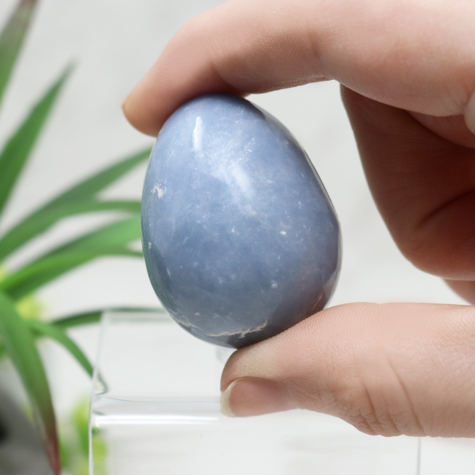 Angelite Carved Egg - Small