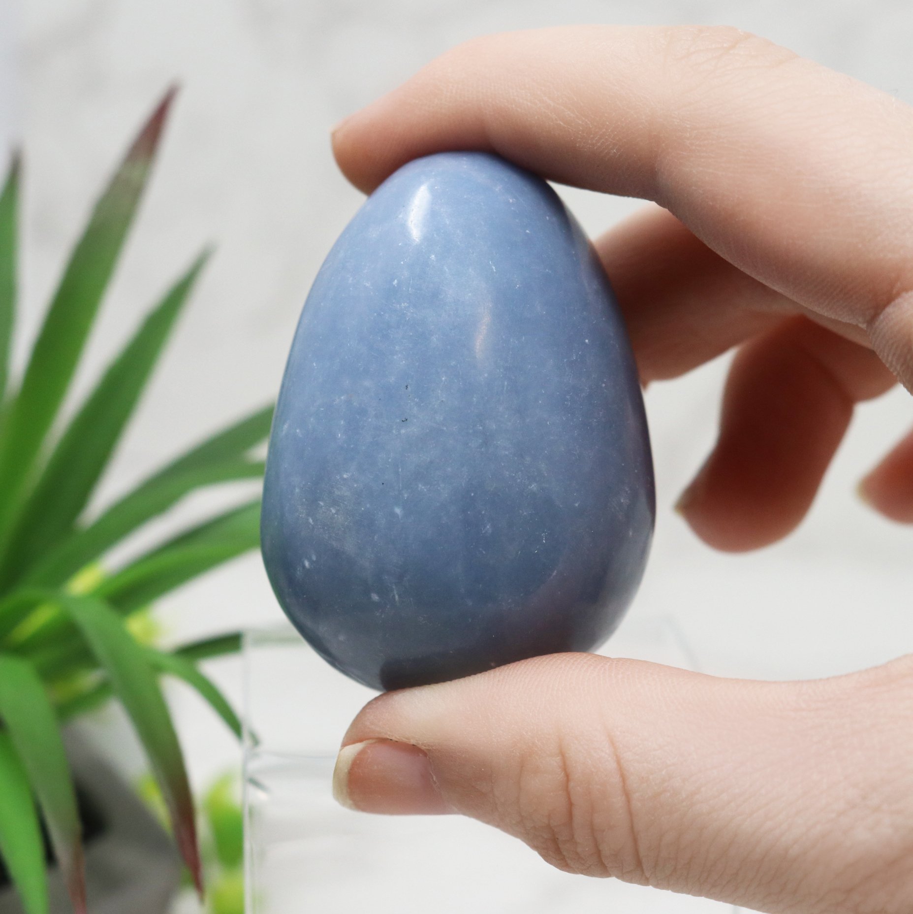 Angelite Carved Egg - Small