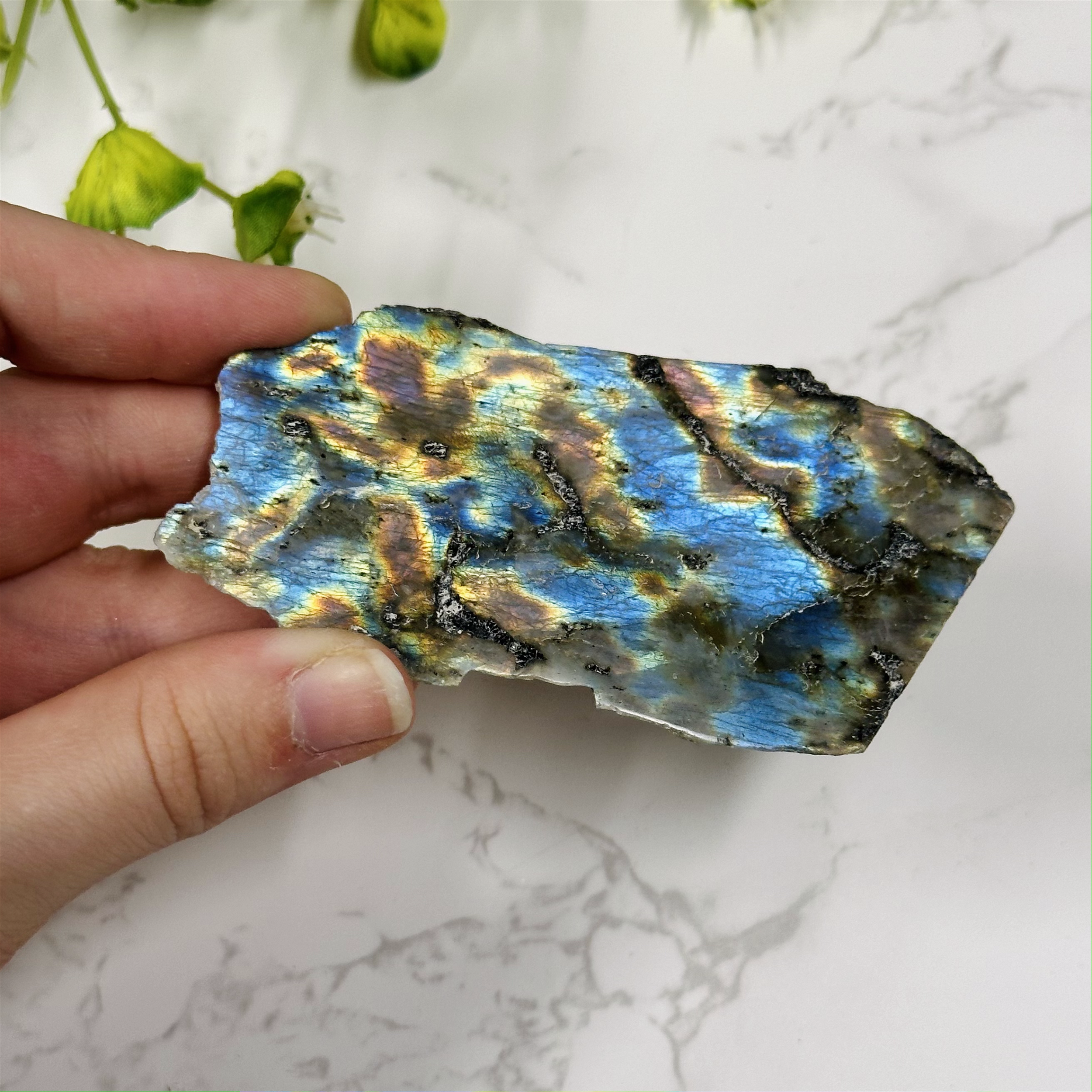 High Quality Labradorite Specimen with Natural Edge (Free Stand with Purchase)