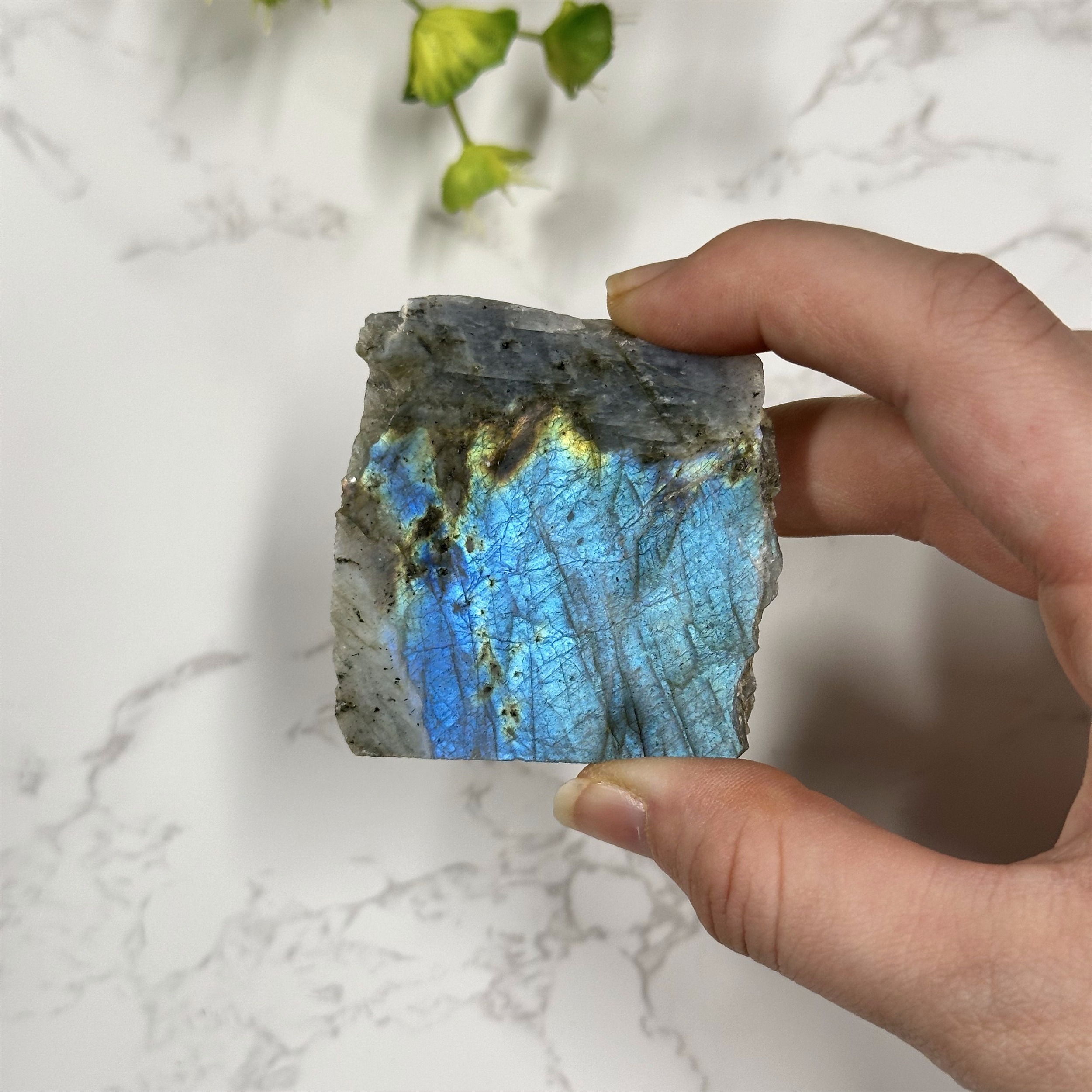 Labradorite Specimen with Natural Edge (Free Stand with Purchase)