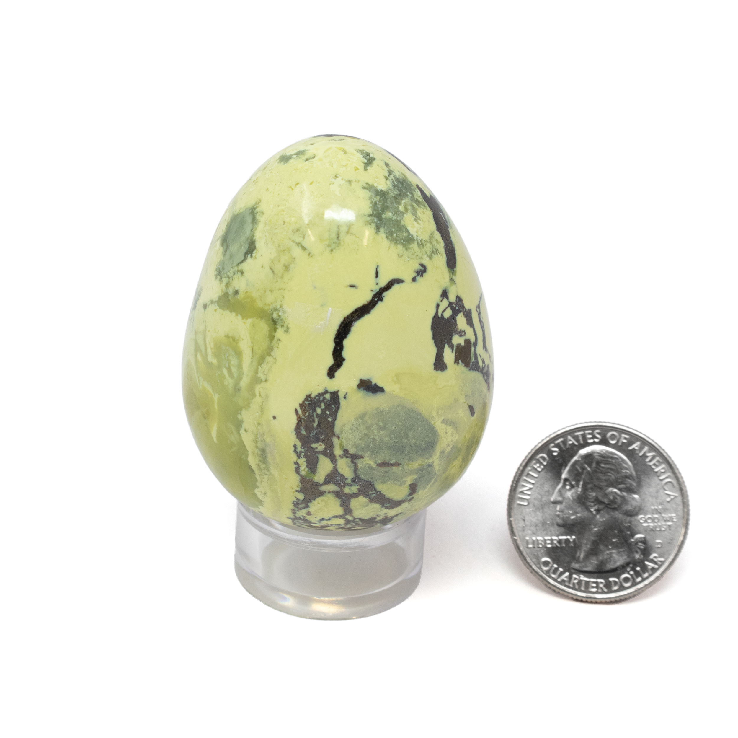 Enhance your collection with the captivating beauty of our Serpentine Egg with Pyrite Inclusions, a unique geological masterpiece from the rich terrains of Peru. Meticulously crafted by nature, this exquisite piece is more than just a mineral specimen; it is a blend of art and earth's wonder. This serpentine egg showcases a striking blend of earthy green hues, interspersed with shimmering pyrite inclusions. The natural pyrite, also known as "fool's gold," adds a touch of glamour with its metallic luster, creating an eye-catching contrast against the smooth, verdant backdrop of the serpentine. Serpentine Egg with Pyrite Inclusions on Lucite Stand from Peru