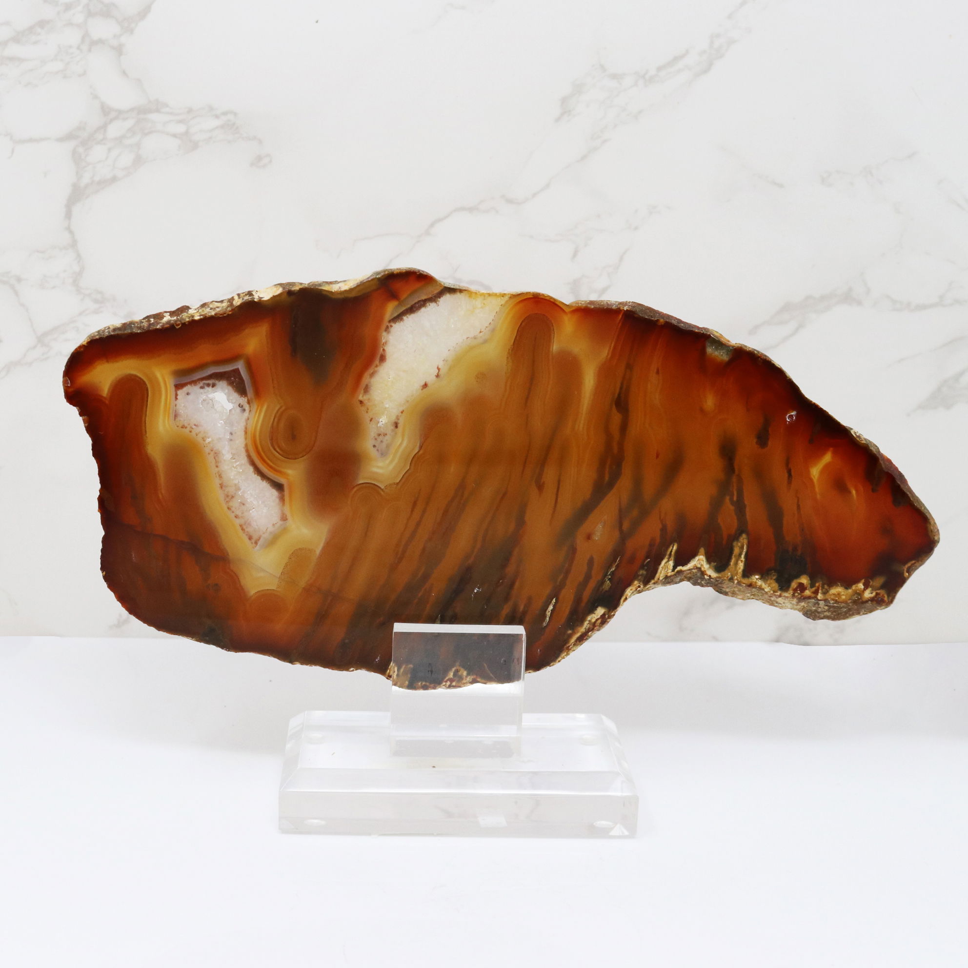 Agate Druze Slice on Screw Stand - Tubular Carnelian Tiger Patterns with Quartz Druze & Double-Sided Polish