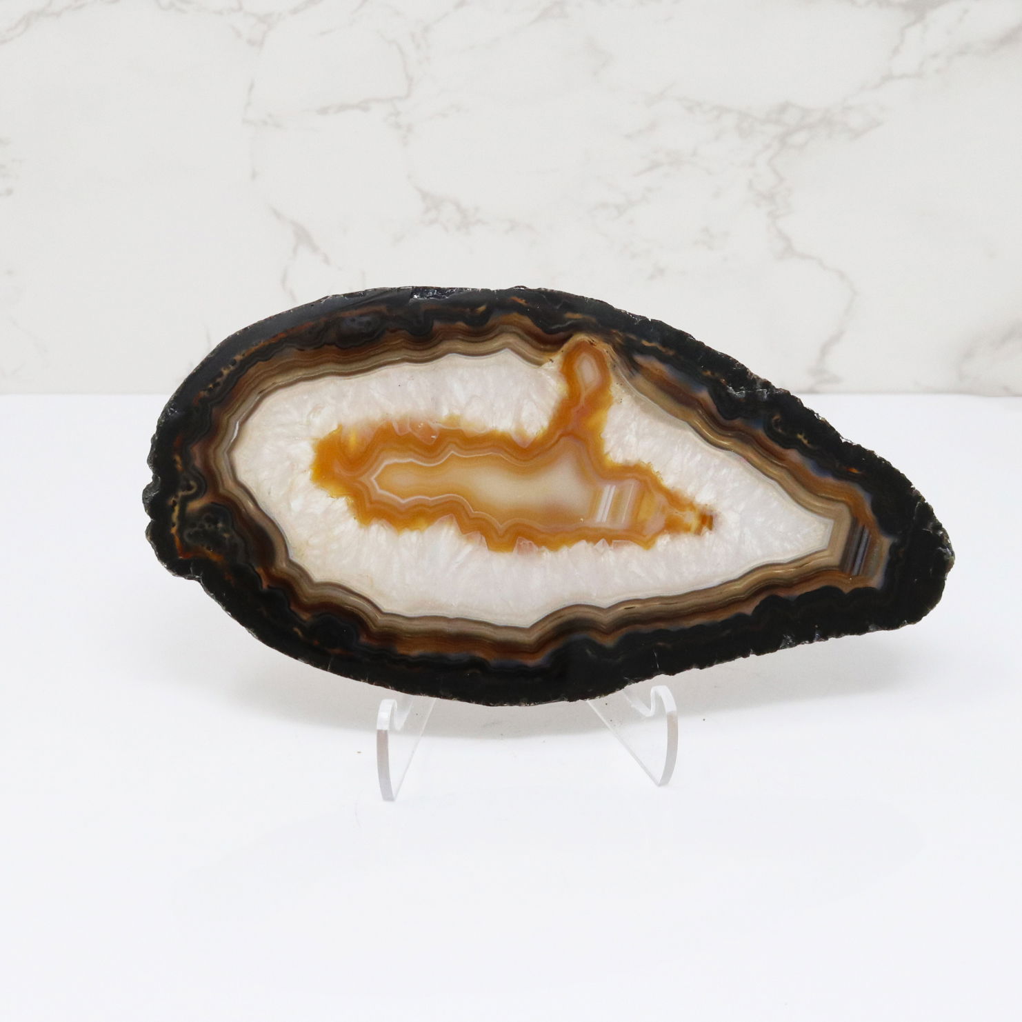 Agate Slice on Lucite Easel Stand - Heavy Chocolate Bands with Carmel Carnelian Center with Quartz Layer