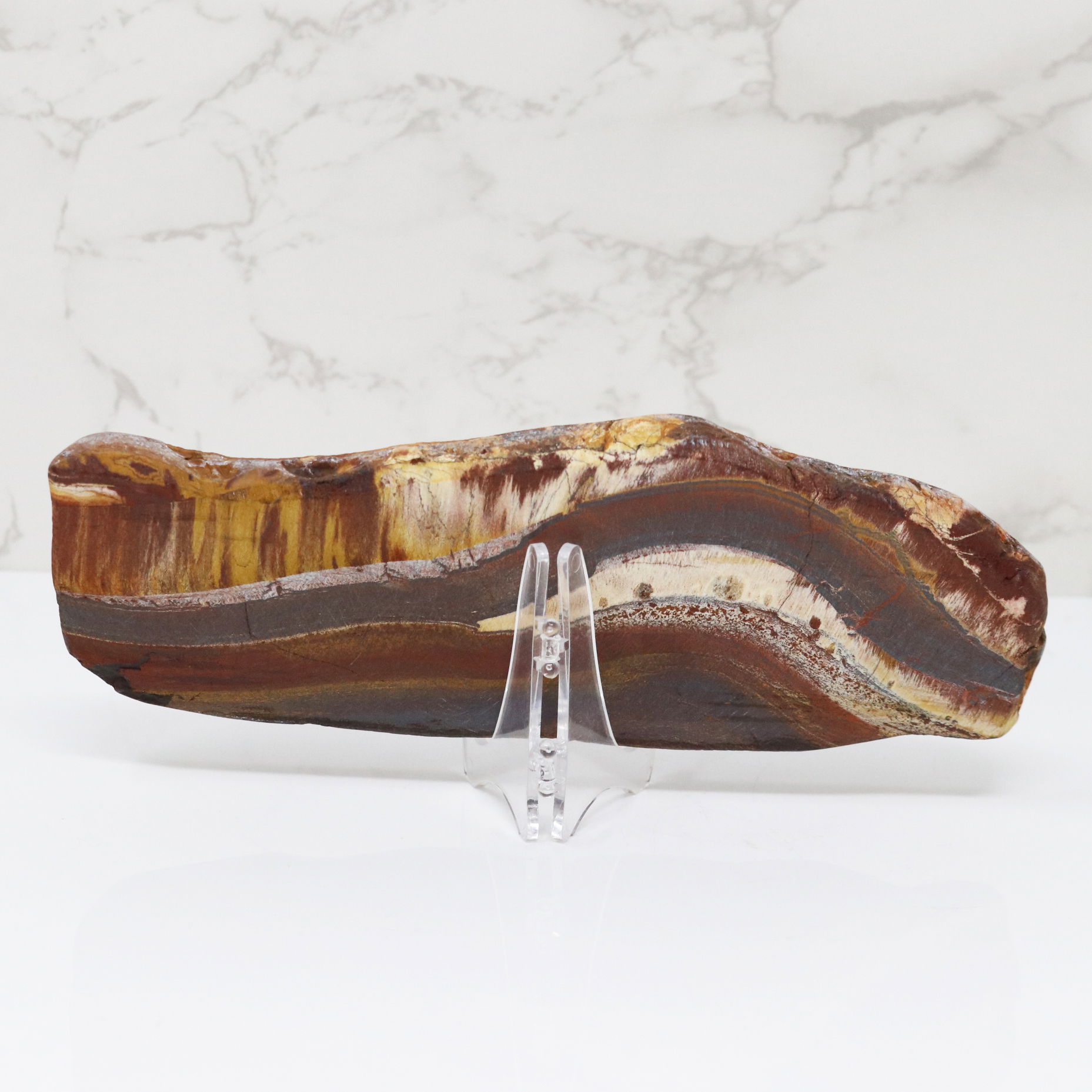 Tiger Eye Slice with Tiger Iron from Australia