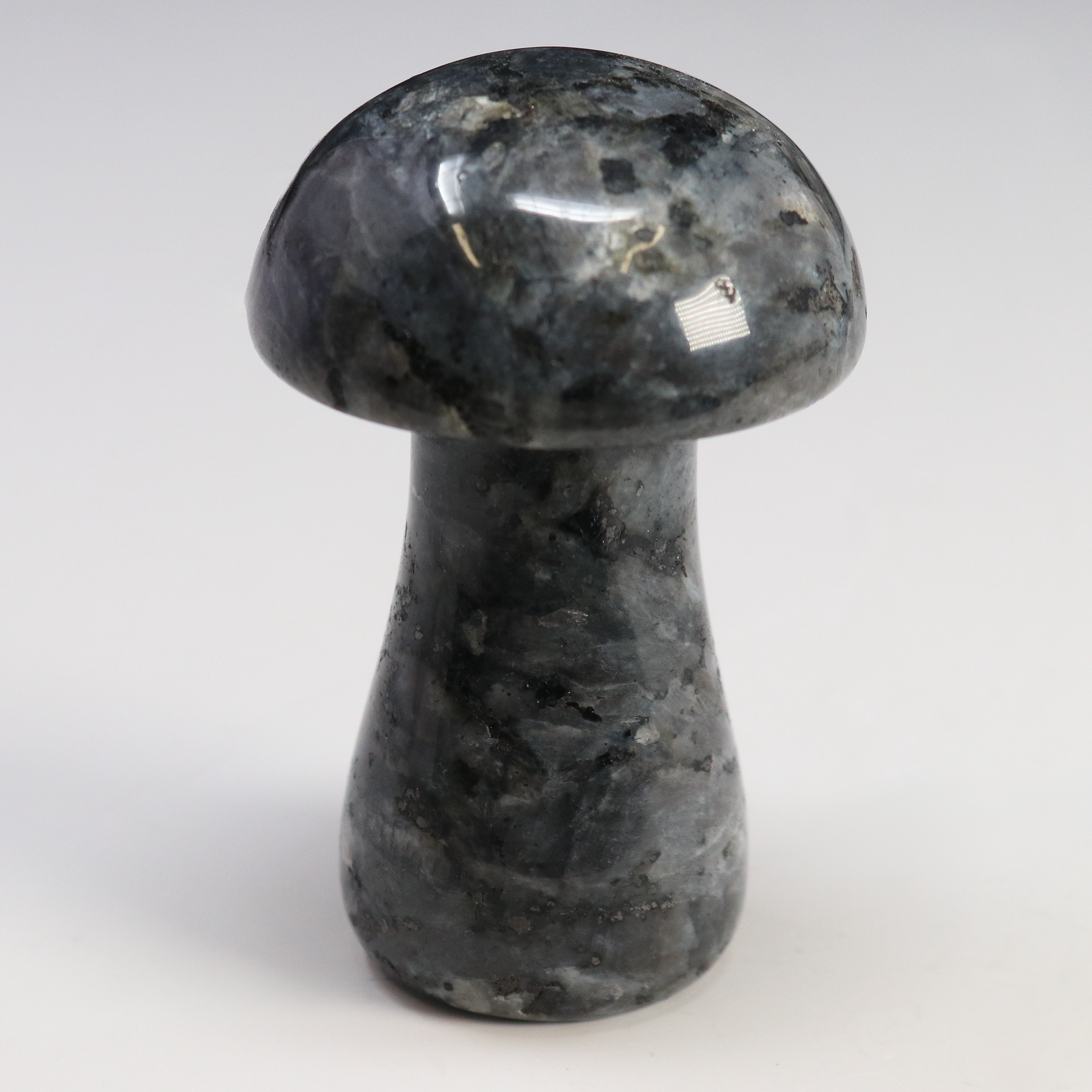 Larvikite Mushroom Carving