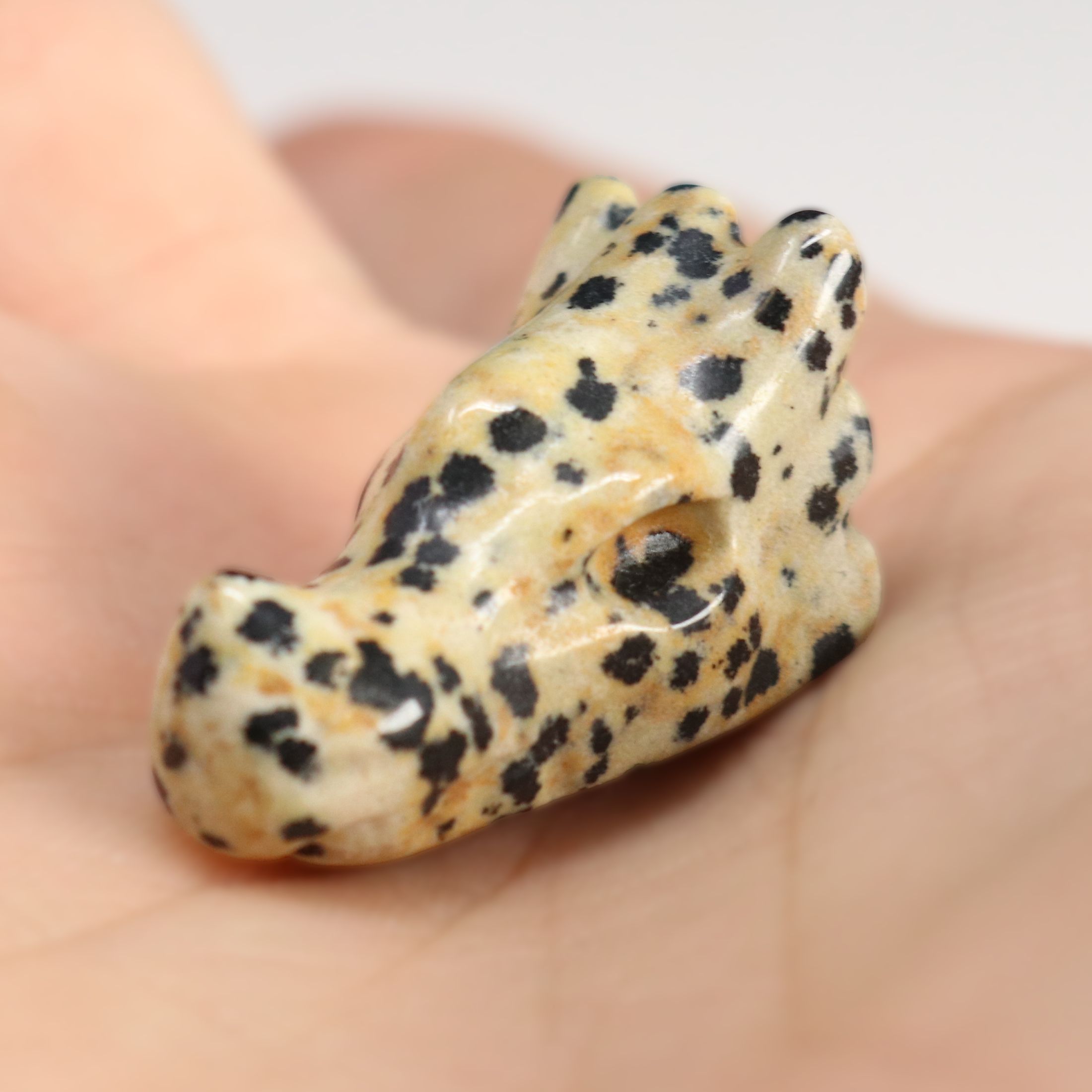 Dalmatian Jasper Dragon Skull Carving