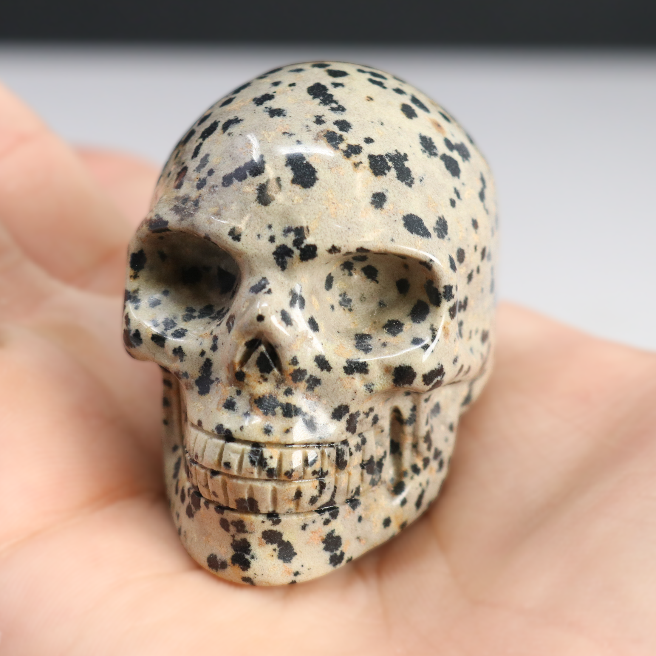 Dalmatian Jasper Skull Carving