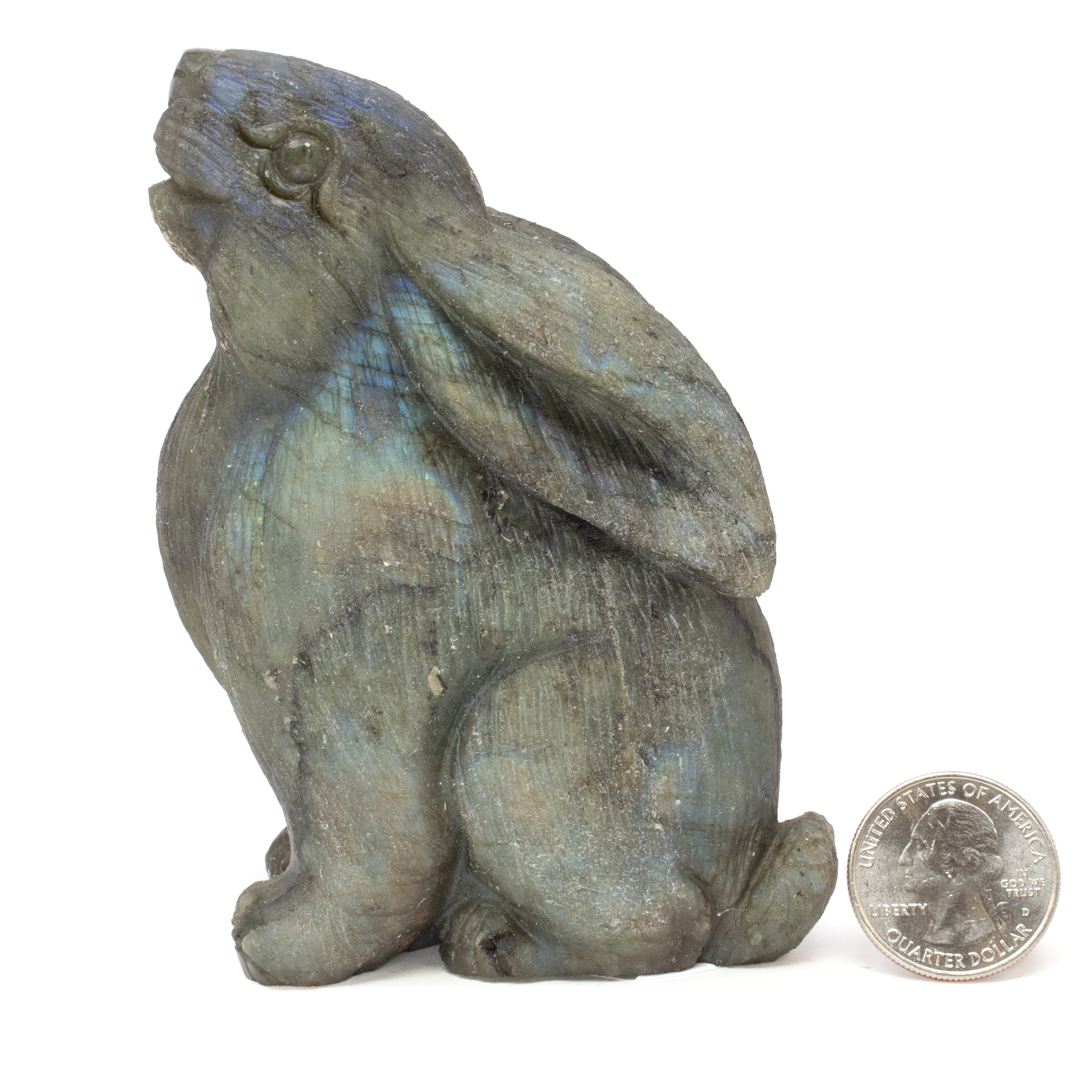 Transform your living space with the enchanting charm of our Labradorite Rabbit Carving. Perfect for art enthusiasts and collectors alike, this exquisite piece beautifully combines nature's artistry with skilled craftsmanship to bring you a truly unique sculpture.Each rabbit is meticulously carved from genuine labradorite, a stone known for its stunning iridescent play of color, commonly referred to as labradorescence. The skillful carving brings out the innate beauty of labradorite, allowing it to shimmer with hues of blue, green, and gold depending on the light and angle.Rabbits are symbols of fertility, abundance, and prosperity. Combined with labradorite, known as a stone of transformation and protection, this carving makes for a meaningful addition to any collection, believed to enhance intuition and bring joy and calm to its surroundings. Labradorite Rabbit Carving