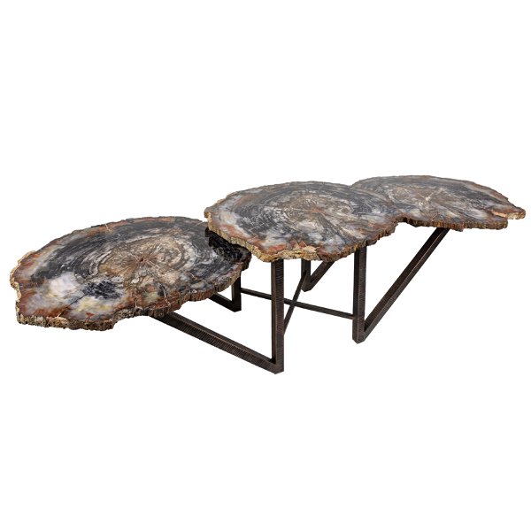 Closeup photo of Arizona Petrified Wood Trio Slice Coffee Table With Hand Forged Base