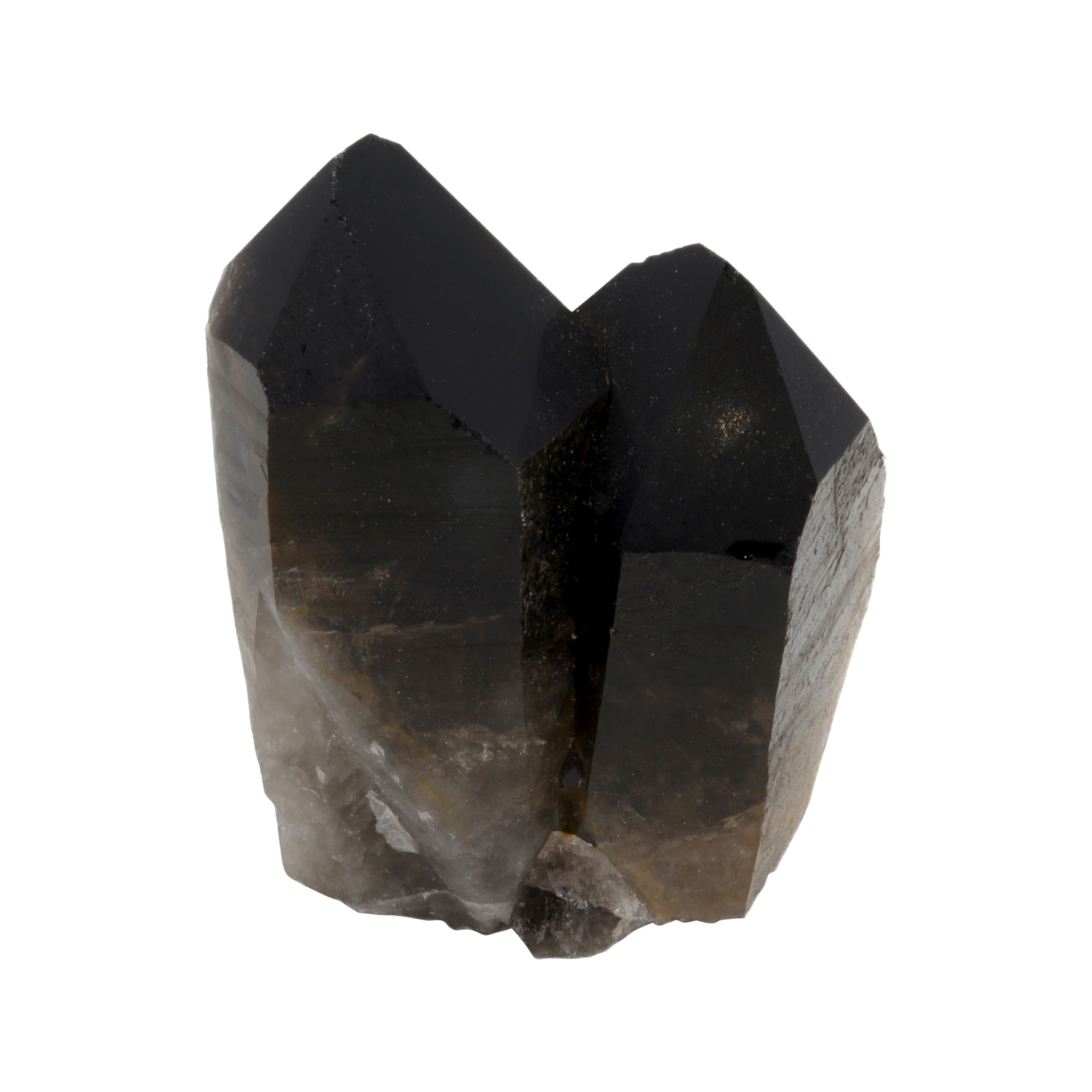 Smoky Quartz Cluster - MediumInfuse your home or workspace with grounding energy and natural beauty with our Smoky Quartz Cluster. Mined from the earth and left in its rough, natural form, each medium-sized cluster is a unique specimen, showcasing rich, translucent brown hues and stunning crystal formations. Smoky Quartz is well-known for its protective and cleansing properties, making it a thoughtful addition to any crystal collection or a meaningful gift for loved ones. Display it as an eye-catching home accessory or use it to amplify your meditation space. Smoky Quartz Cluster - Medium