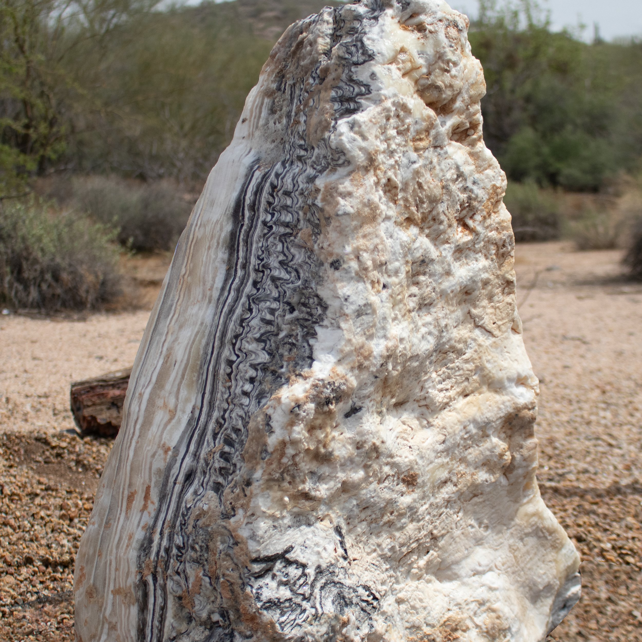 The pointed design of the Zebra Onyx Boulder Fountain adds a touch of modern sophistication while celebrating the raw, unrefined beauty of nature. Perfectly suited for gardens, patios, or as a dramatic indoor feature, this fountain becomes the focal point in any environment. The mesmerizing combination of water and stone creates a calming atmosphere, perfect for relaxation and reflection. Let Rare Earth Gallery’s white-glove service make your fountain dreams come true—simply choose your fountain, tell us where it goes, and we’ll handle the rest, from delivery to installation. IMPORTANT: the purchase price listed is for the FOUNTAIN ONLY and DOES NOT INCLUDE the cost of a basin, pump, parts or installation. Before purchasing a fountain online, we STRONGLY recommend you call us at (480) 575-4360 for a FREE consultation to discuss these additional costs and schedule a pre-site inspection. Also, free shipping does NOT apply to fountains, please call for a quote. Zebra Onyx Boulder Fountain - Pointed with Striking Zebra Patterns
