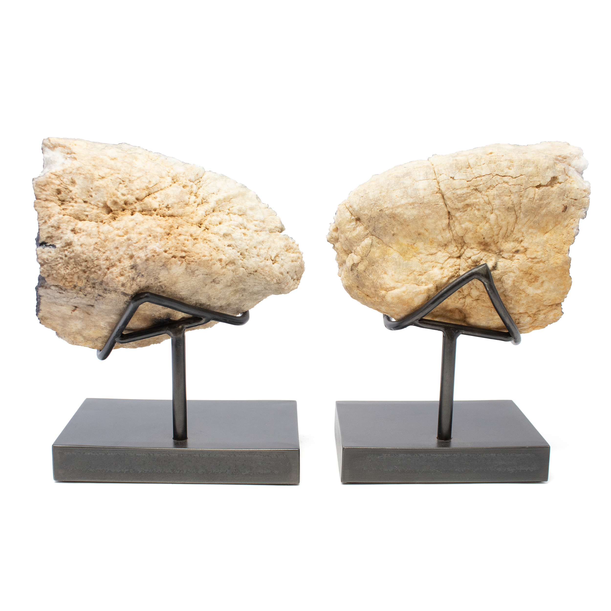 Unveil the allure of nature's artistry with the Black Titanium Moroccan Geode Pair, exquisitely displayed in a custom patina stand. These remarkable geodes, sourced from the mystical landscapes of Morocco, are a testament to the planet's geological wonders, promising to captivate the senses and spark intrigue.Each geode in this exceptional pair has been meticulously coated in black titanium, infusing it with an enigmatic shimmer. This process not only enhances the natural beauty of the geode's crystalline interior but also ensures a mesmerizing play of light from every angle, much like a star-studded night sky. The contrast between the dark titanium finish and the geode's inherent textures creates a dramatic yet elegant statement piece for any setting. Black Titanium Moroccan Geode Pair in Custom Patina Stand